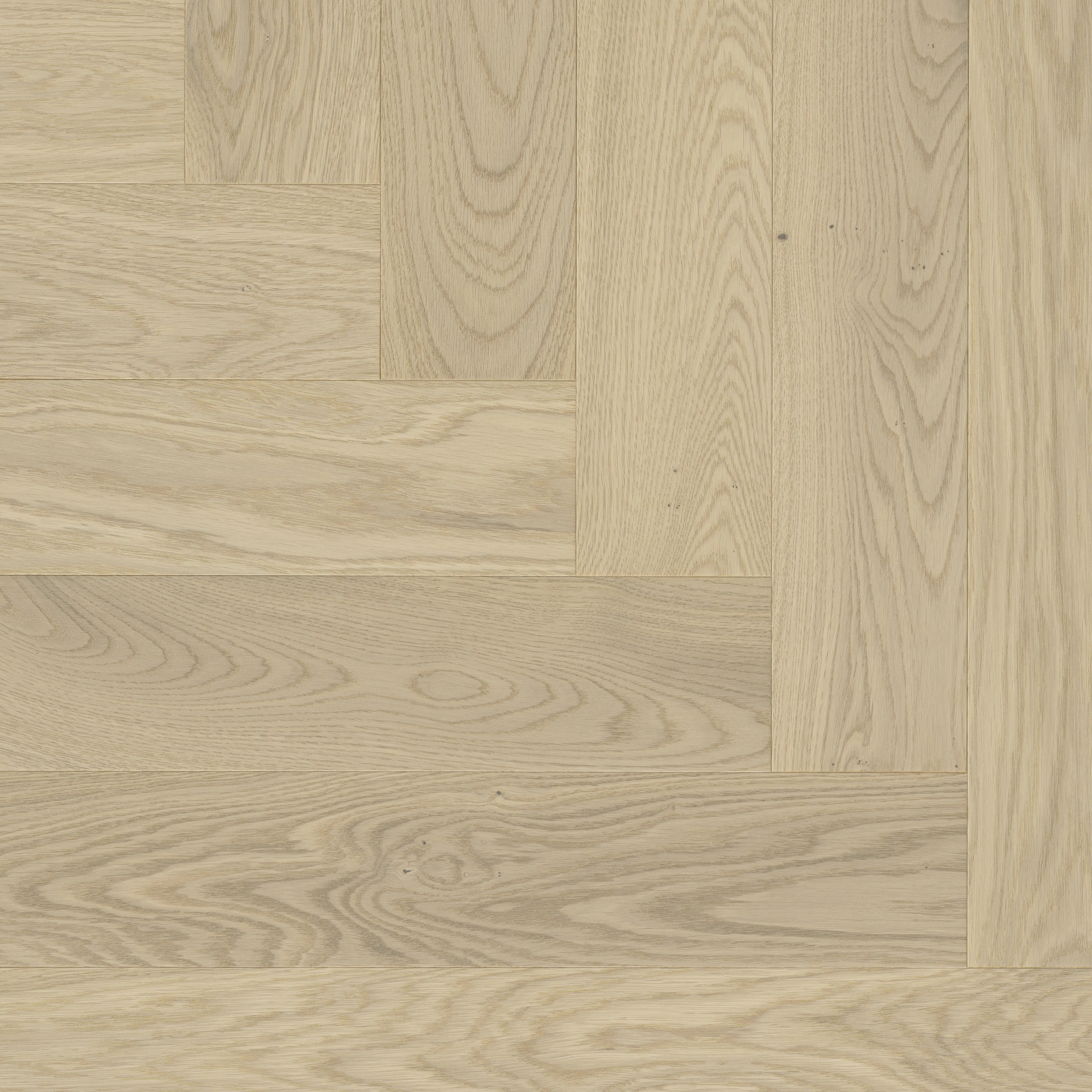 Parador Parkett Trendtime 3 Living Plus Eiche Bardolino weiß lackversiegelt matt weiß Minifase