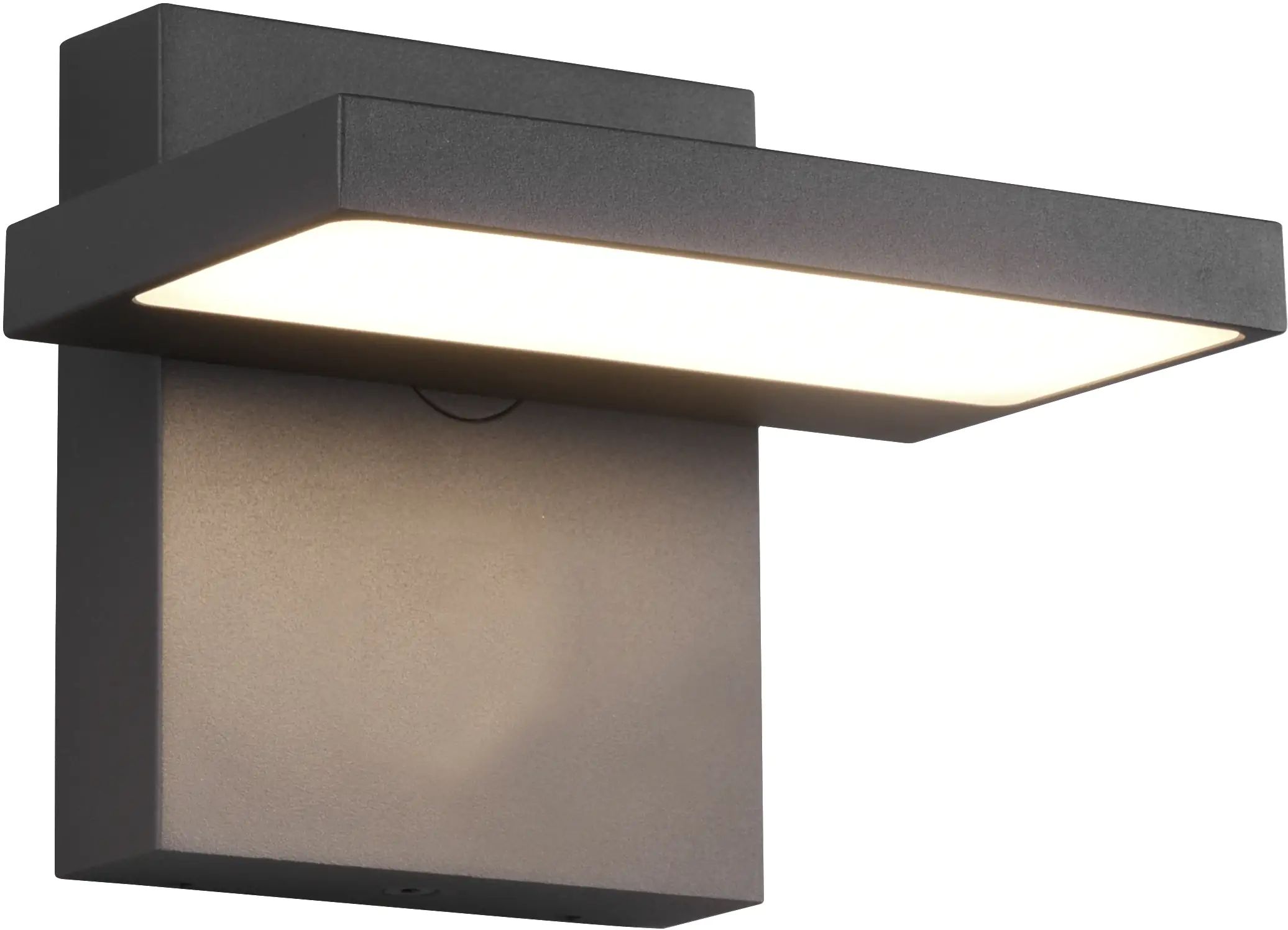 Trio Leuchten LED Außen-Wandleuchte Horton anthrazit schwenkbar Trio Leuchten LED Außen-Wandleuchte Horton anthrazit schwenkbar