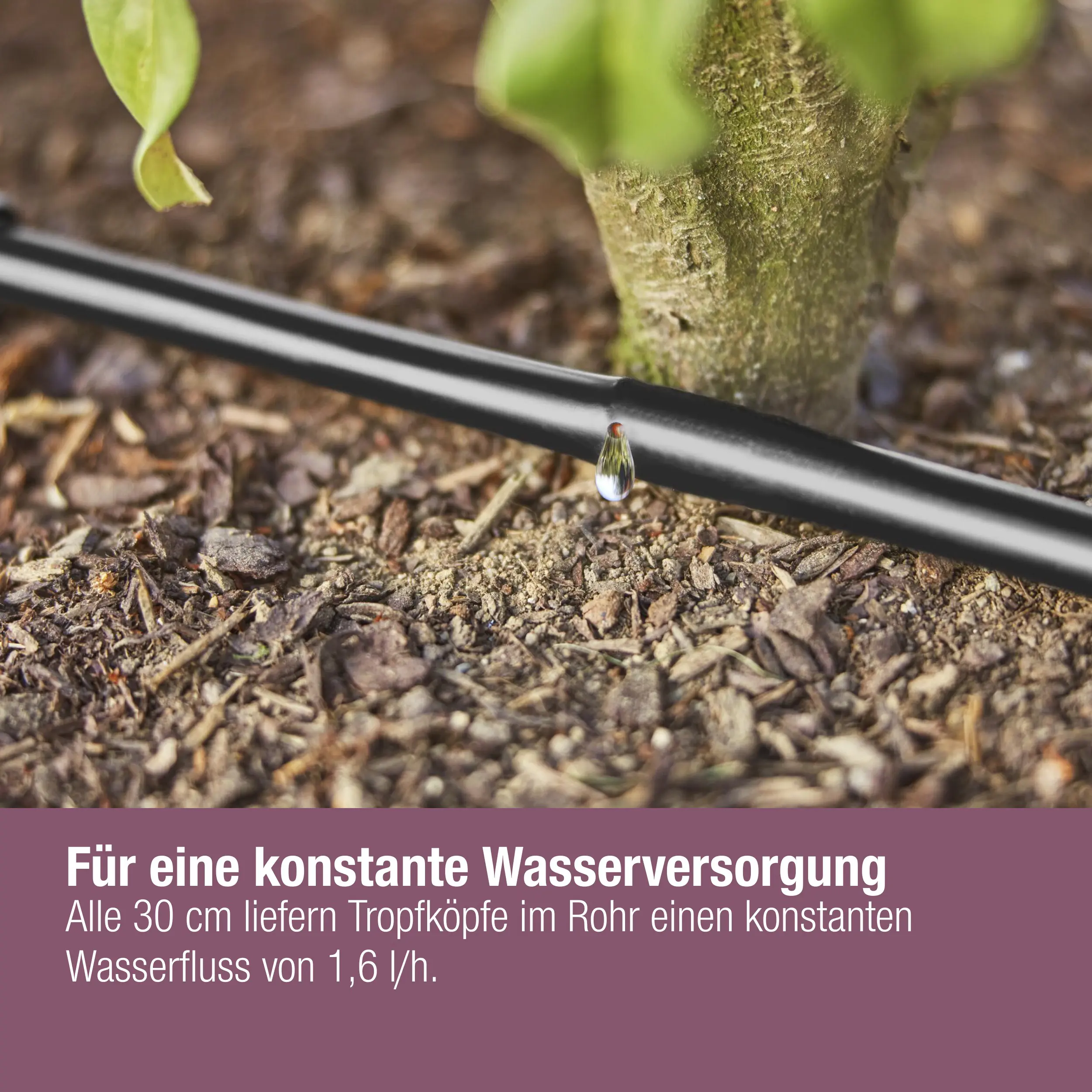 Gardena Tropfbewässerung Set Hecke/Sträucher 50 m