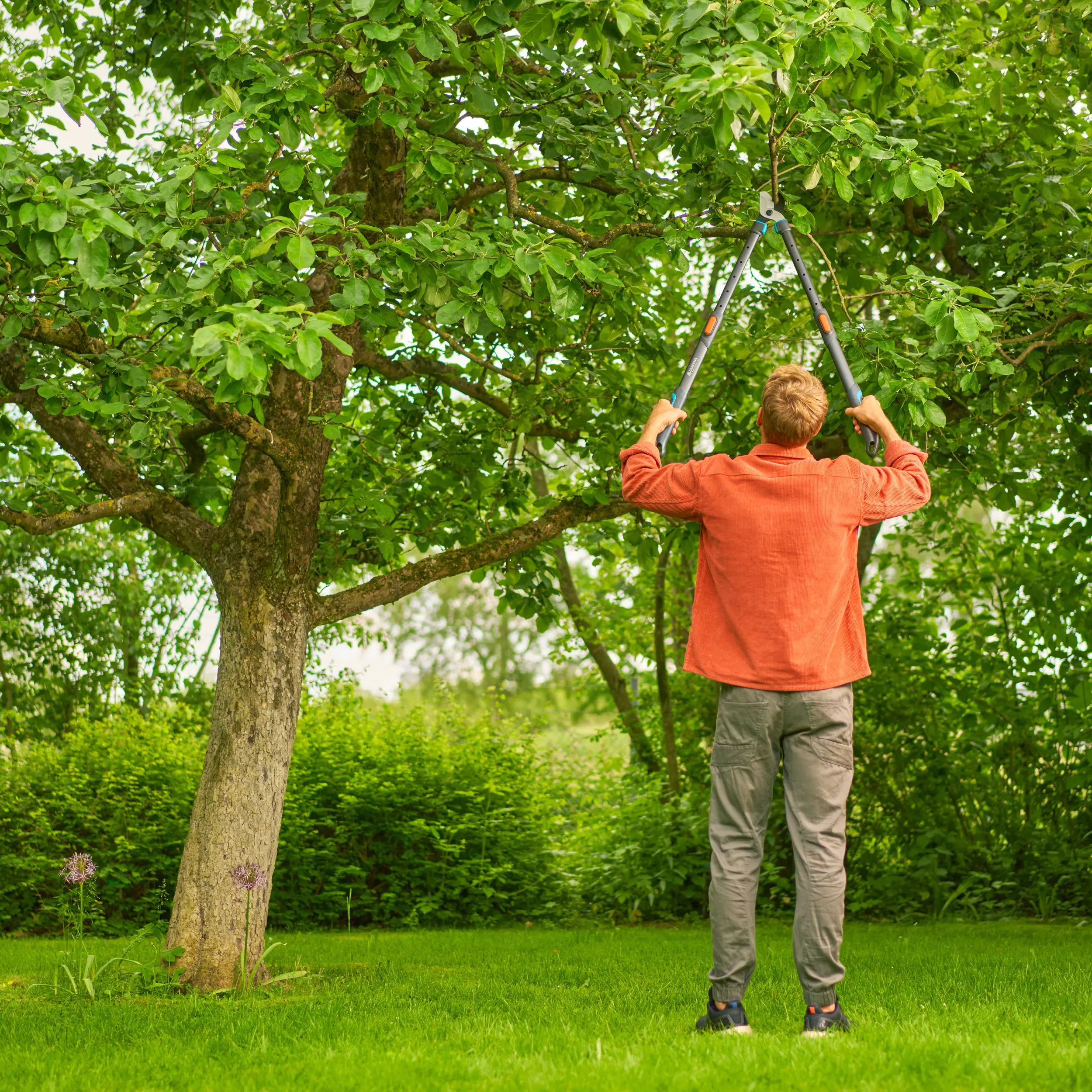 Gardena Teleskop-Astschere TeleCut Pro L für frisches Holz