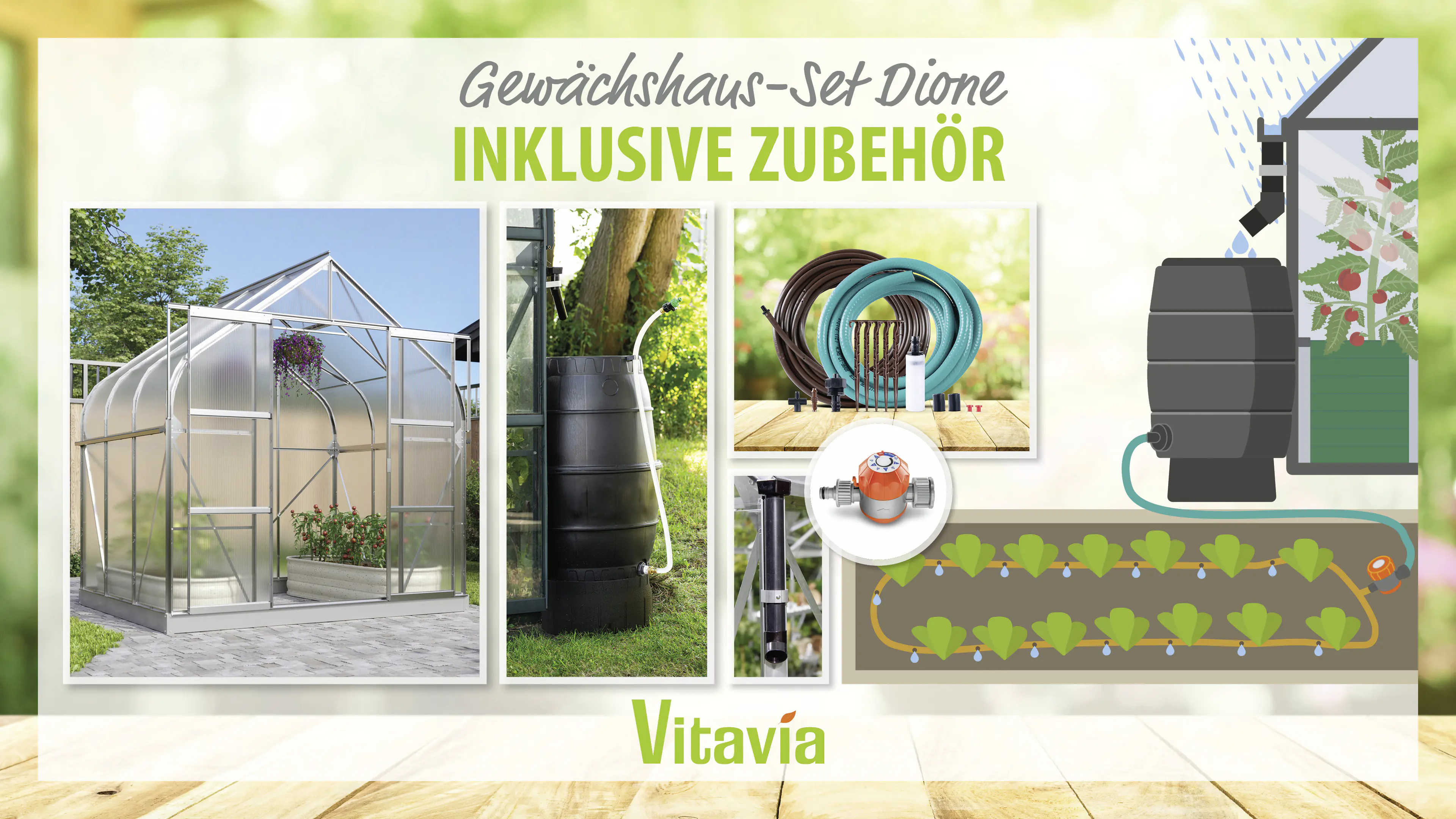 Vitavia Gewächshaus-Set-Set Dione 5000 HKP 4 mm alu 254 x 192 cm