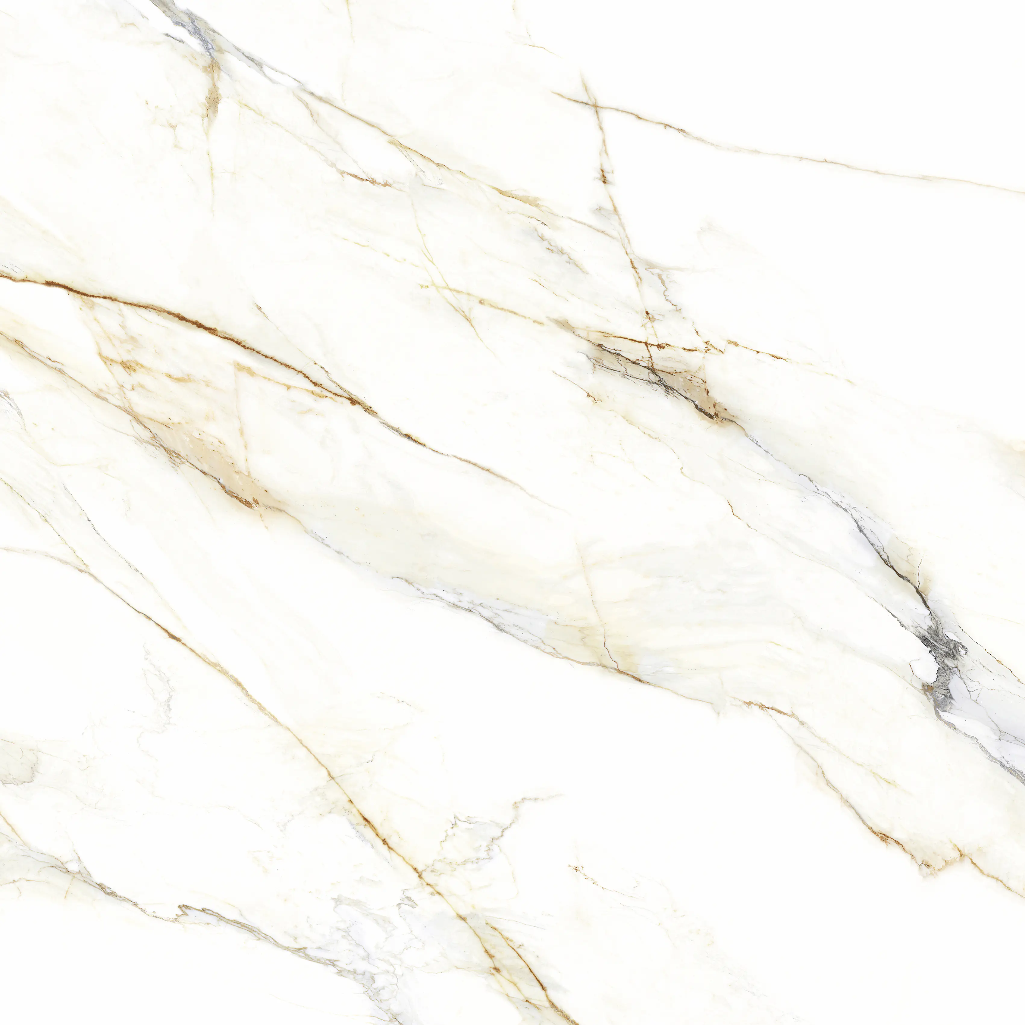 Bodenfliese Feinsteinzeug Venetion Gold 120 x 120 cm weiß