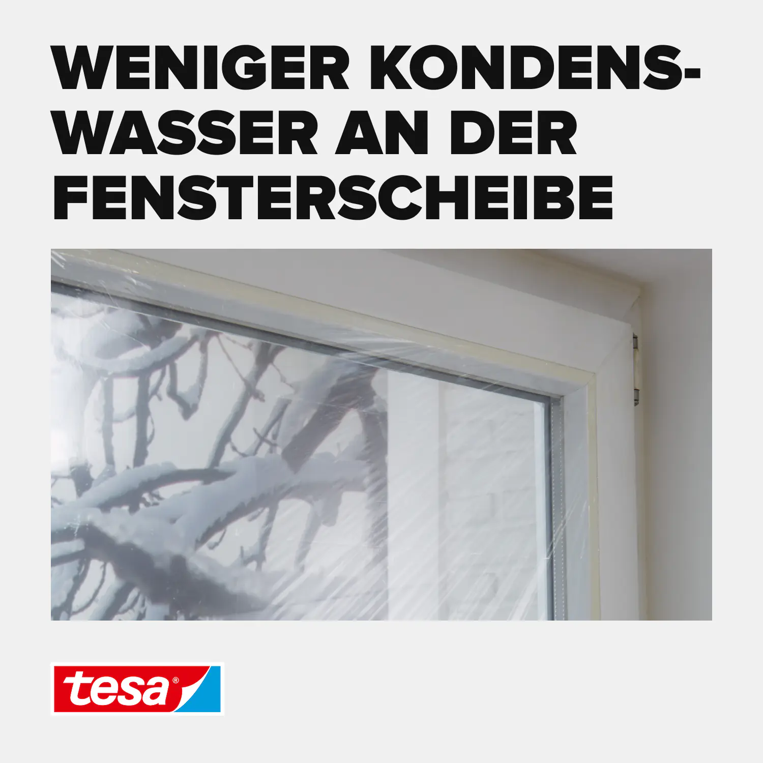 tesa Moll Fenster-IsolierfolieThermo Cover 4 x 1,5 m