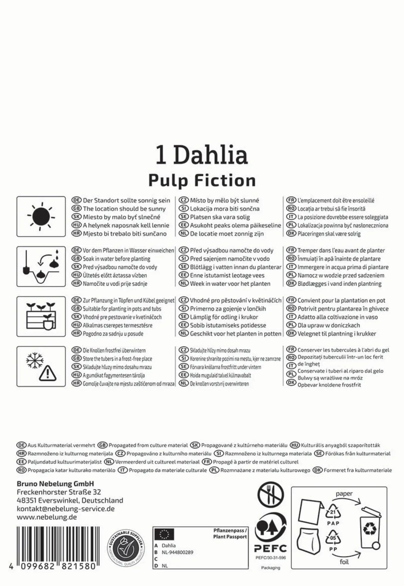 Kiepenkerl Frühjahrsblumenzwiebel Dunkellaubige Beet- & Kübel-Dahlie Pulp Fiction 1 Stück