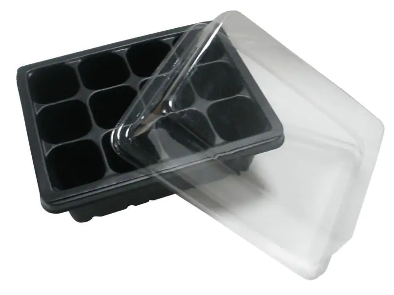 TrendLine Gewächshaus Mini 19 x 14,5 x 6 cm TrendLine Gewächshaus Mini 19 x 14,5 x 6 cm