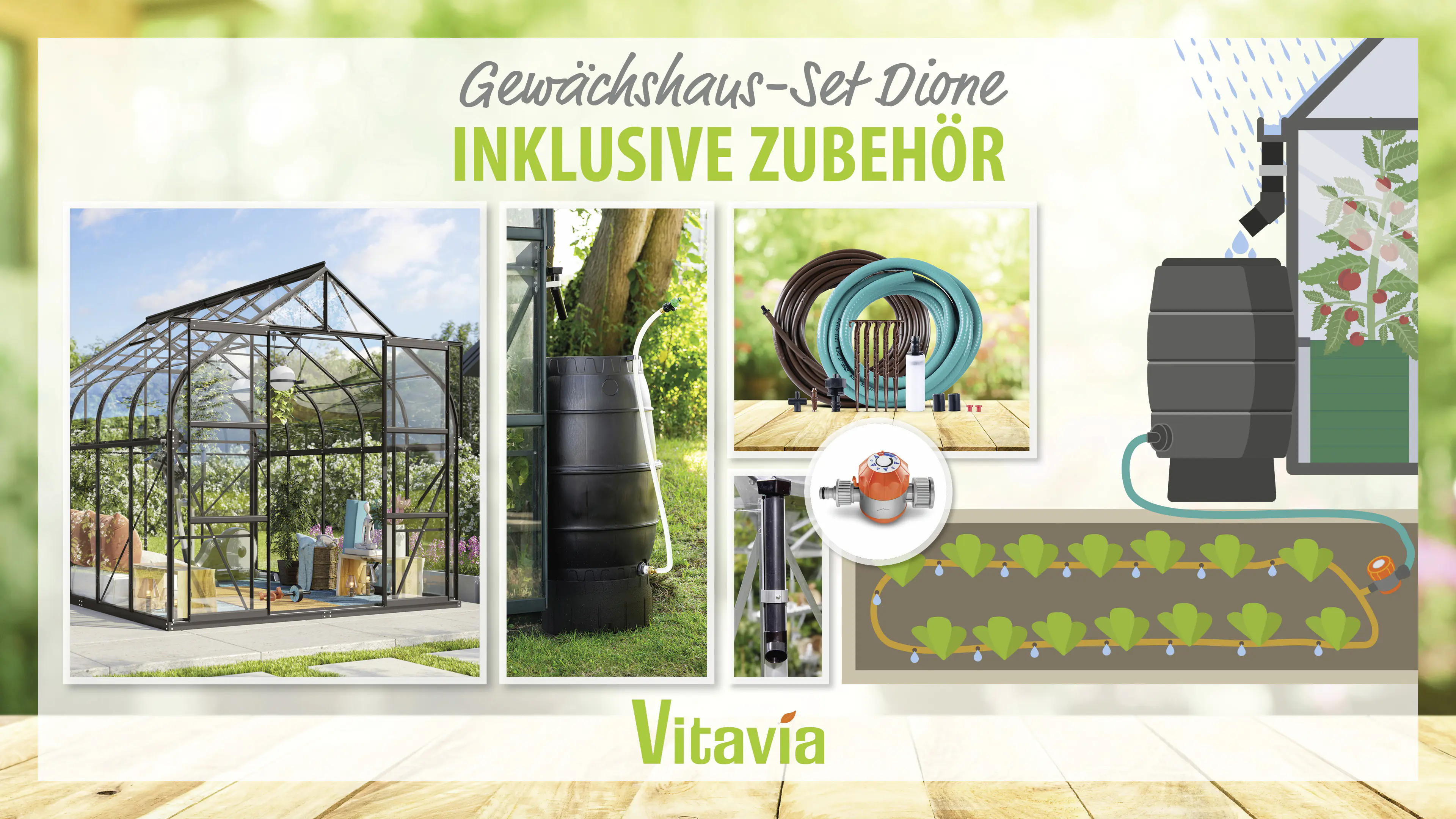 Vitavia Gewächshaus-Set Dione 8300 ESG 3 mm schwarz 254 x 317 cm 