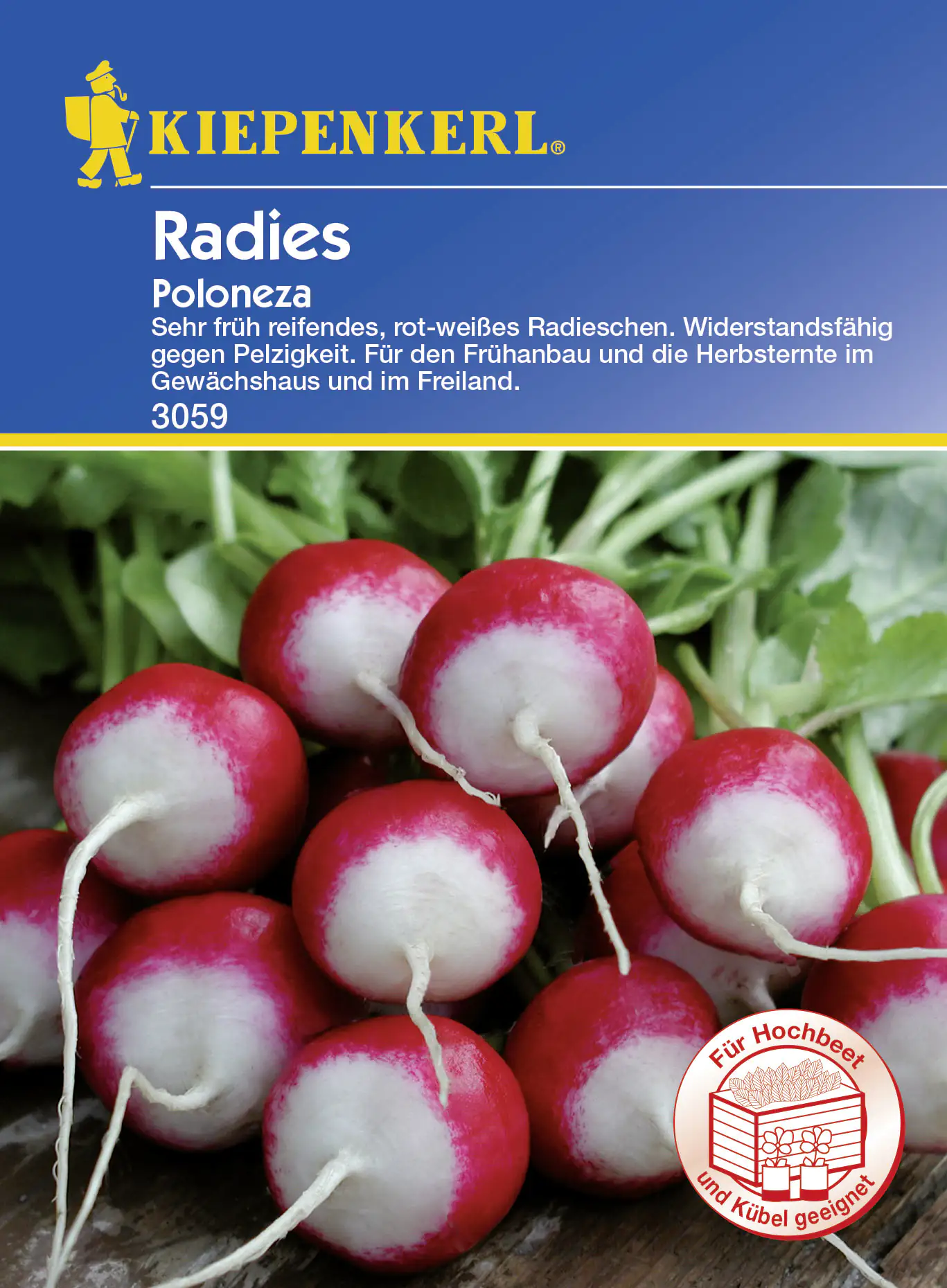 Kiepenkerl Radieschen Poloneza ca. 10 lfd. Meter