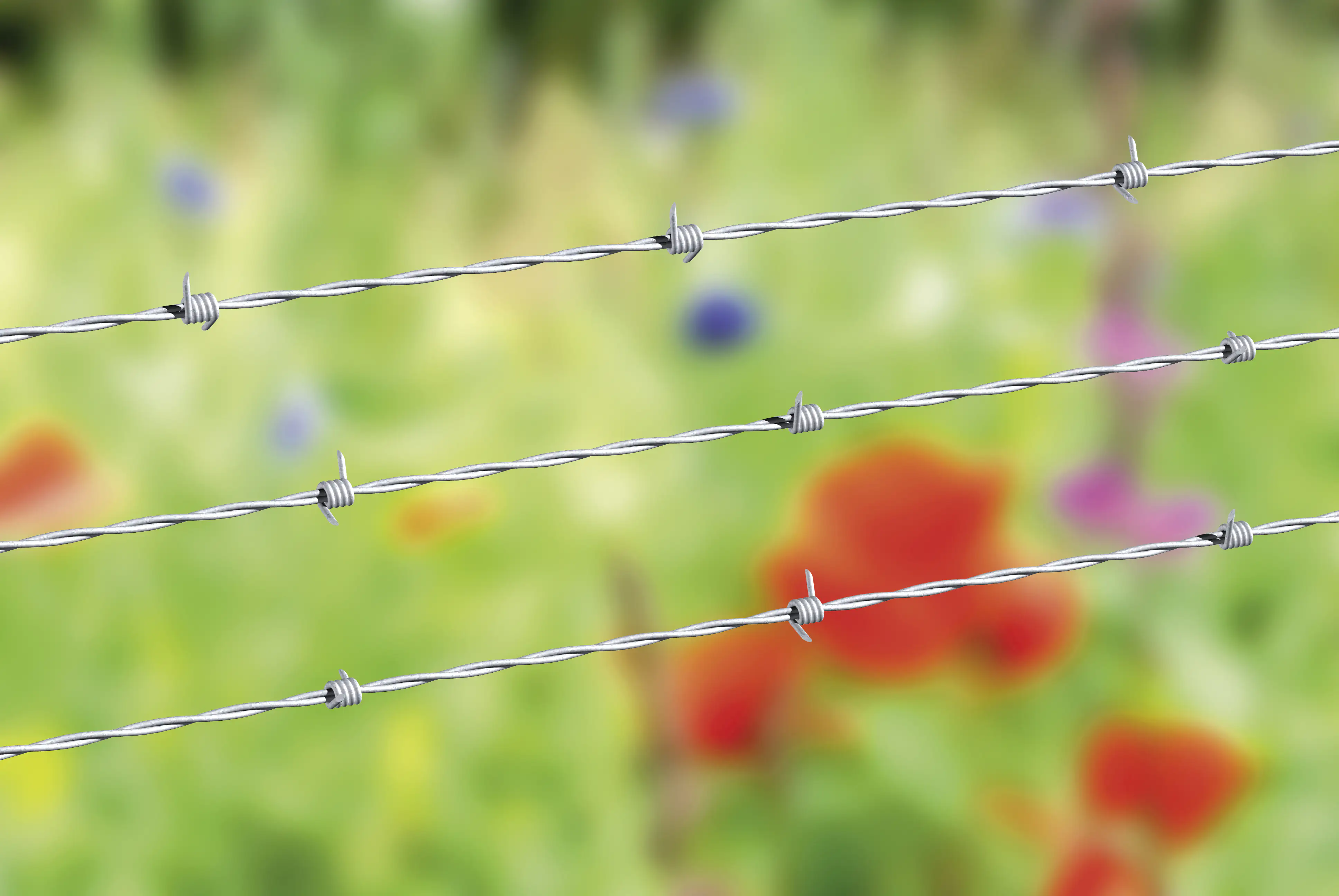Alberts Stacheldraht 50 m Ø 1,6 mm feuerverzinkt