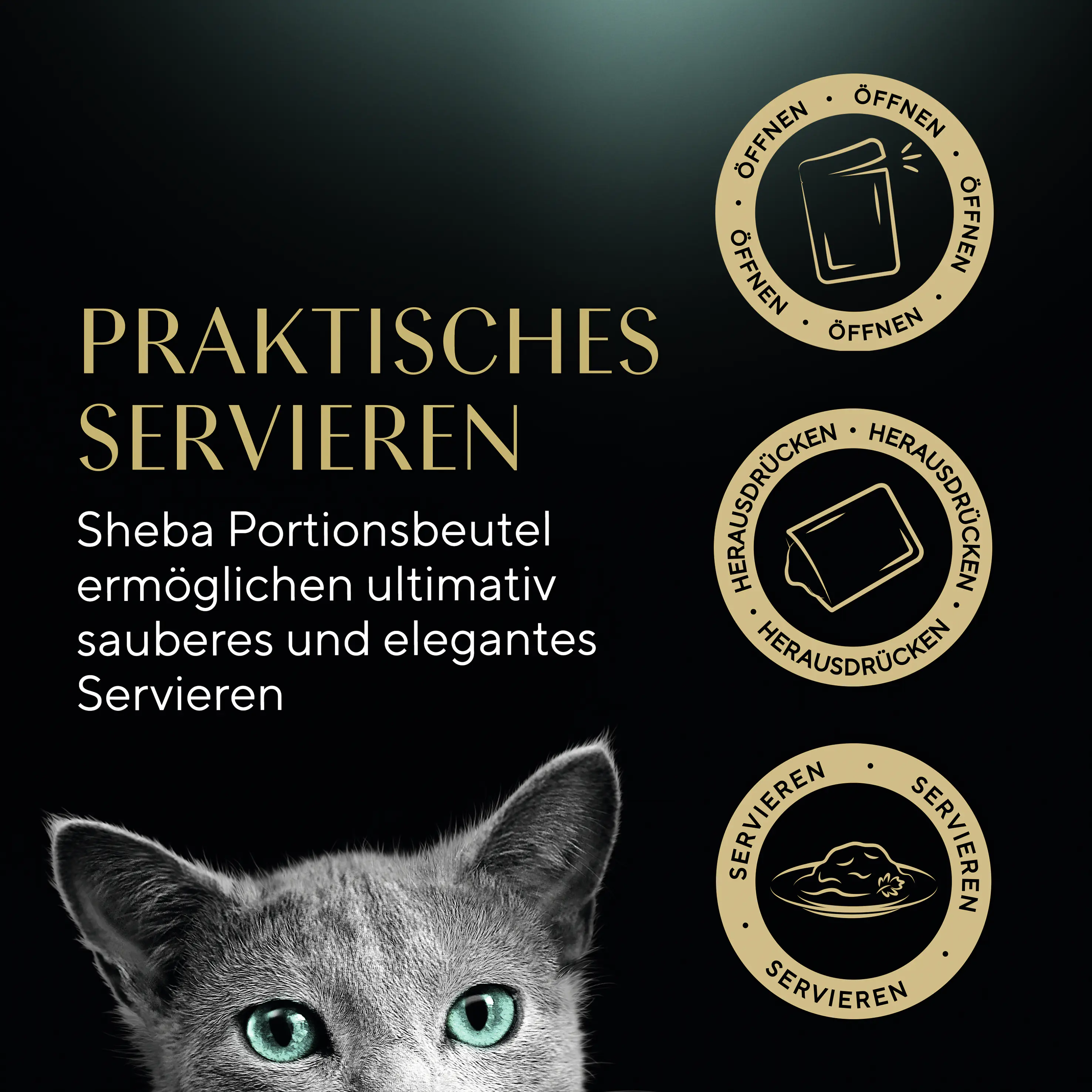 Sheba Katzennassfutter Adult 60 x 85 g Fisch in Gelee