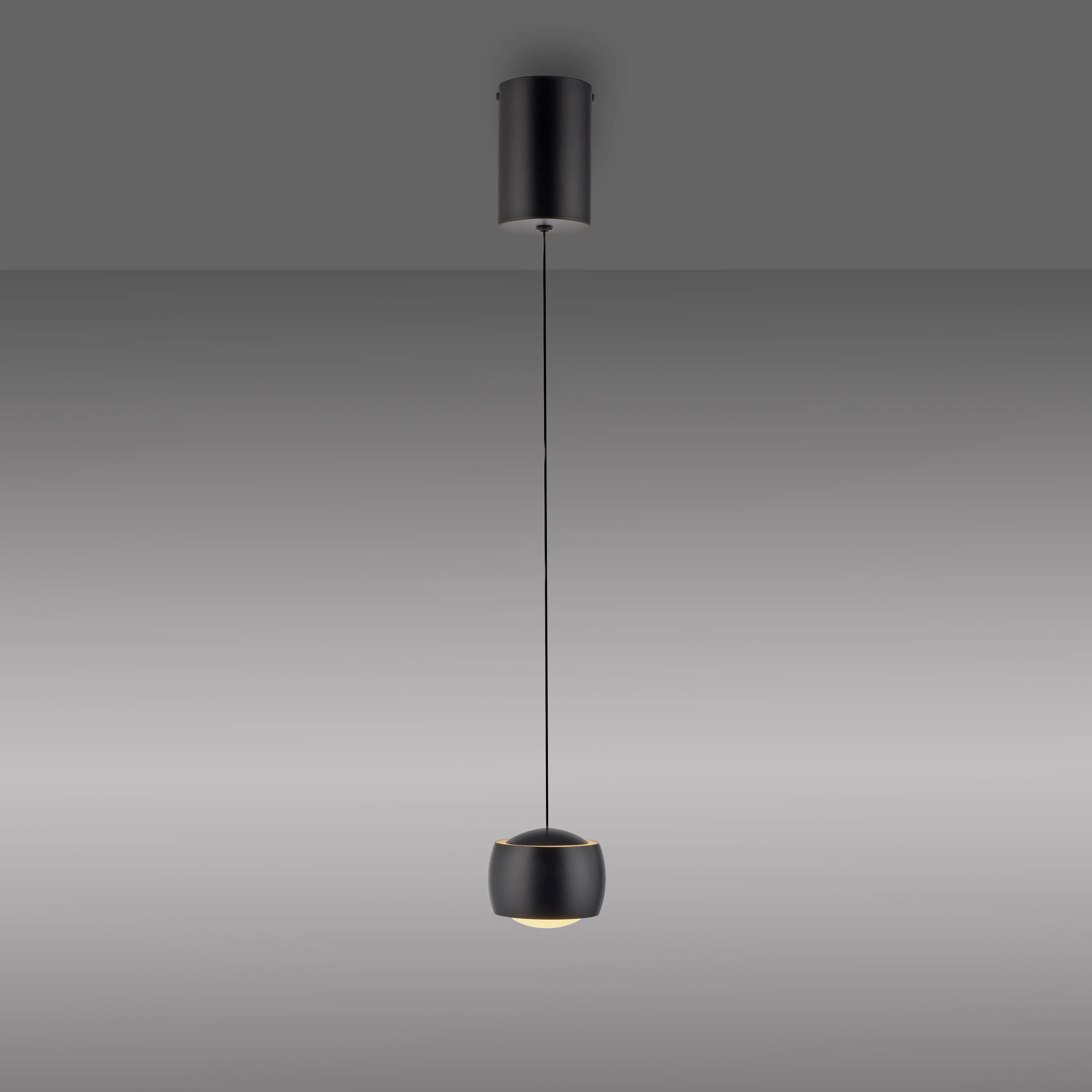Paul Neuhaus LED Pendelleuchte Ballini 220 cm 5,2 W warmweiß 