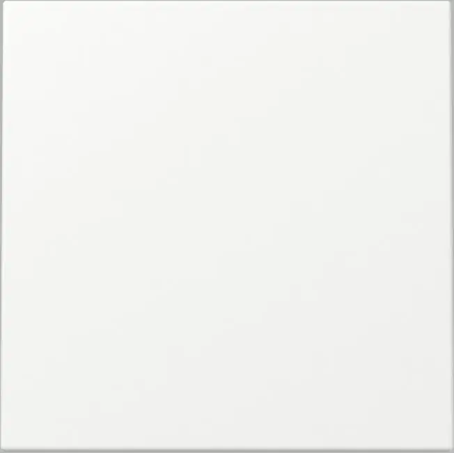 Gira Wippschalter Universal System 55 Thermoplast reinweiß seidenmatt 329627