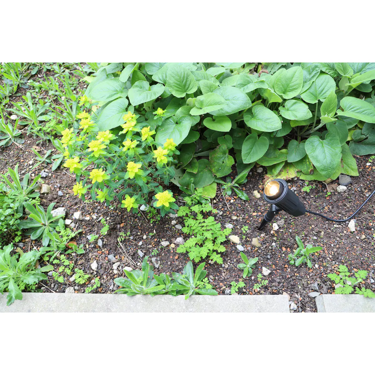 Unitec LED-Wegeleuchte mit Erdspieß 1,5 m schwarz Unitec LED-Wegeleuchte mit Erdspieß 1,5 m schwarz