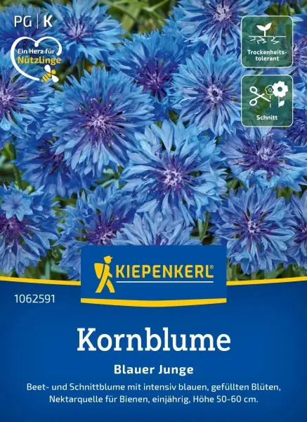 Kiepenkerl Blumensamen Kornblume Blauer Junge für ca. 80 Pflanzen