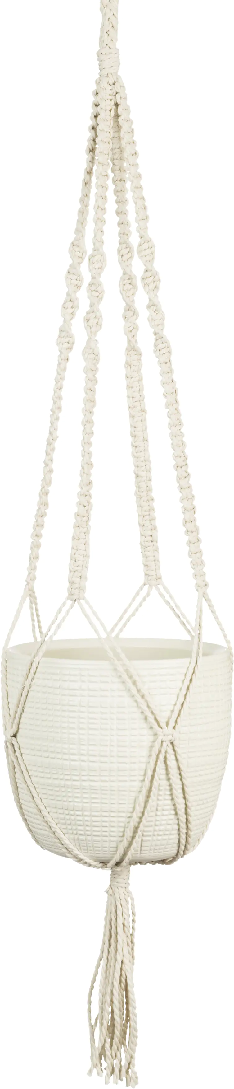 Scheurich Hängeampel Corteza Sky Serie 868 vainilla Ø 16 cm Scheurich Hängeampel Corteza Sky Serie 868 vainilla Ø 16 cm