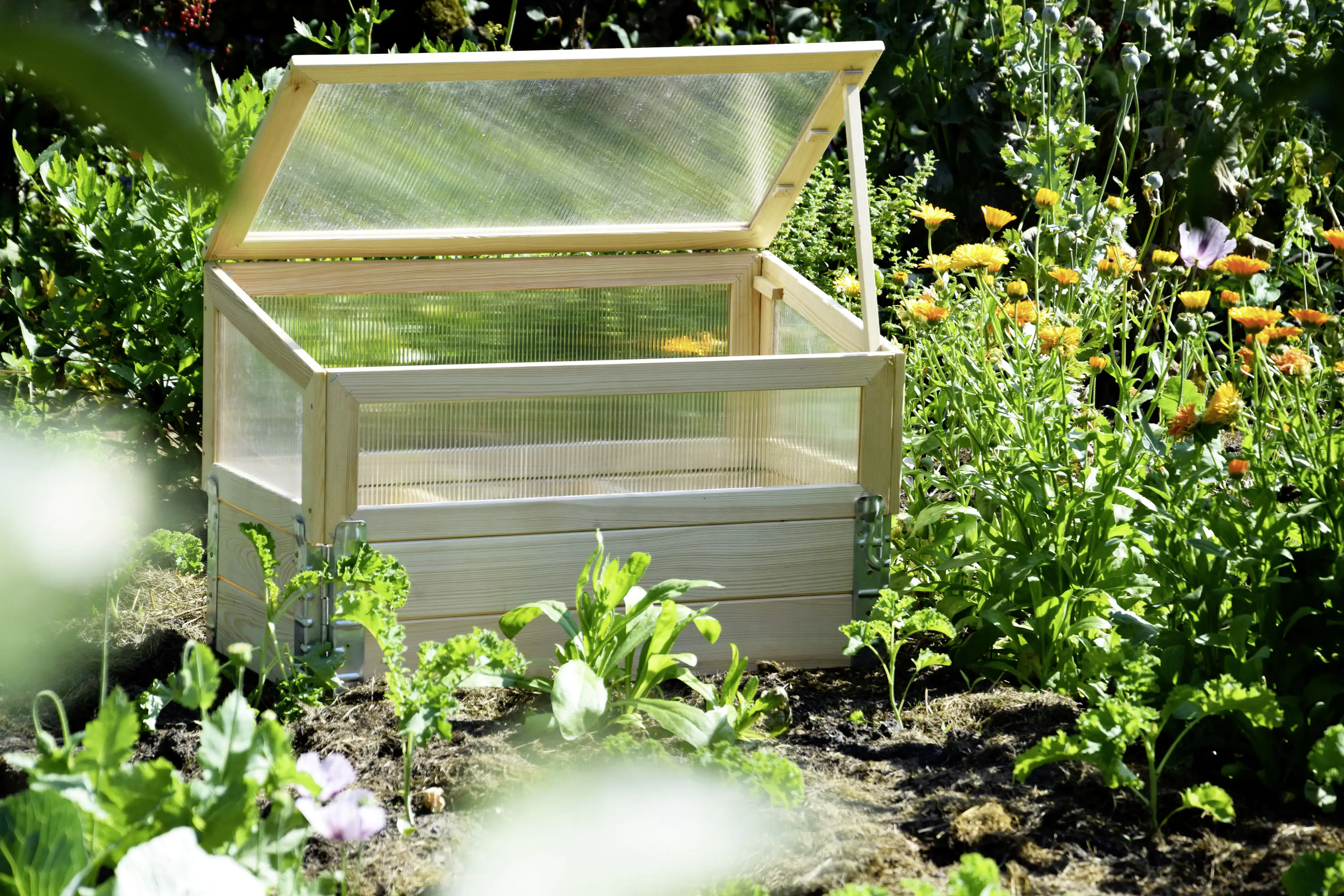 4055894584132_3169873 Dobar Frühbeet mit Untersatz transparent Kiefer 76 x 40 x 50 cm