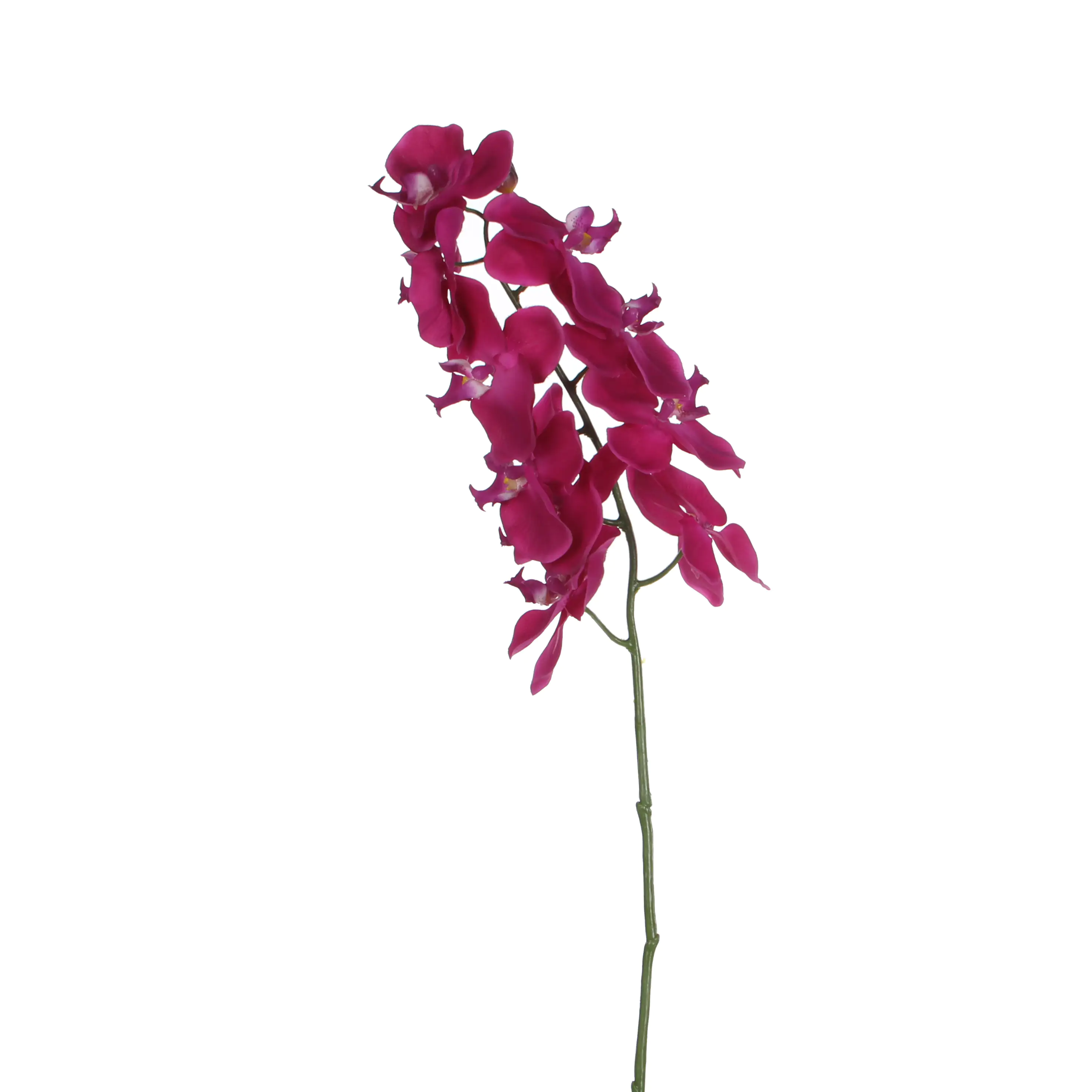 8717669818571 Mica künstliche Phalaenopsis violett 71 cm