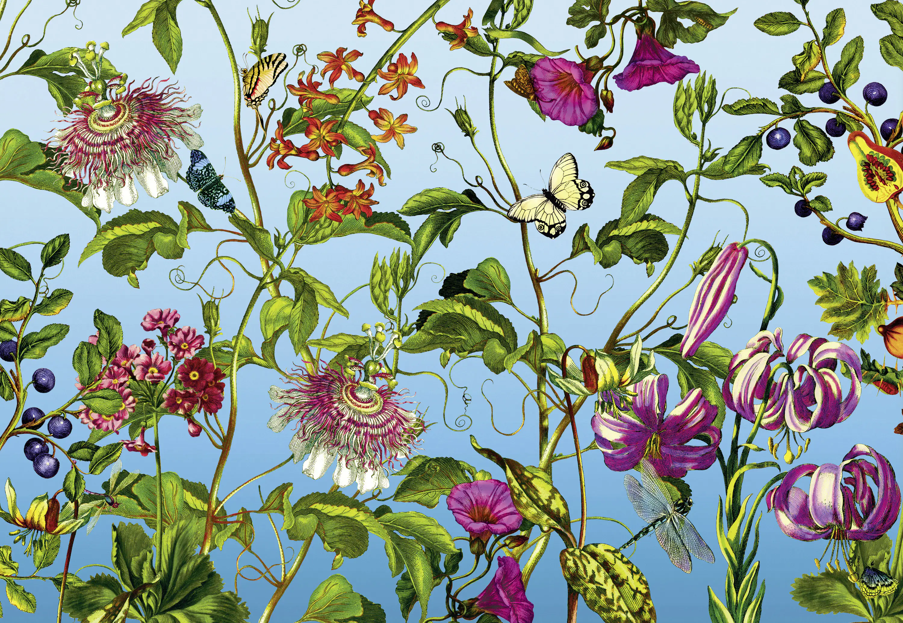 Komar Vlies Fototapete Jardin 368 x 248 cm 