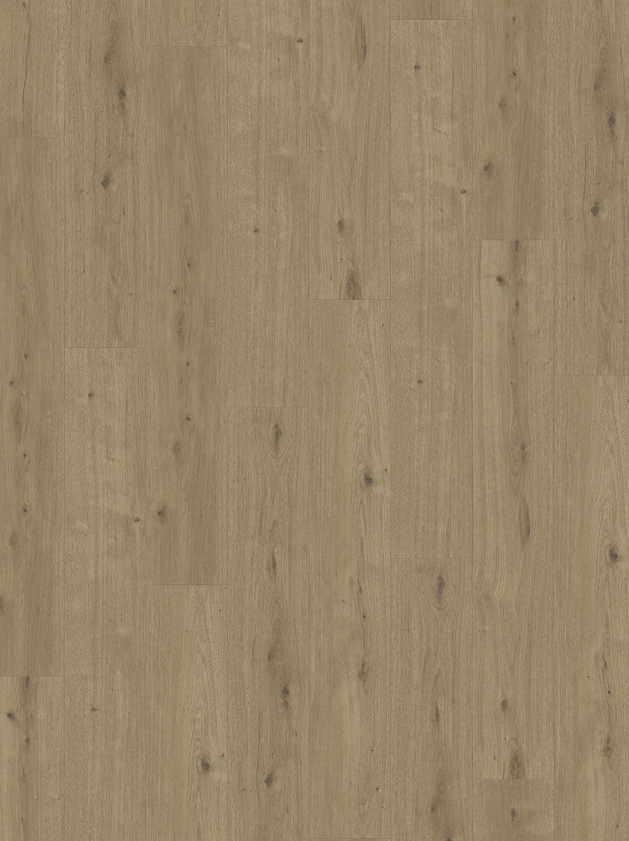 Parador Designboden Modular ONE Eiche Atmosphere umbra Authentische Struktur