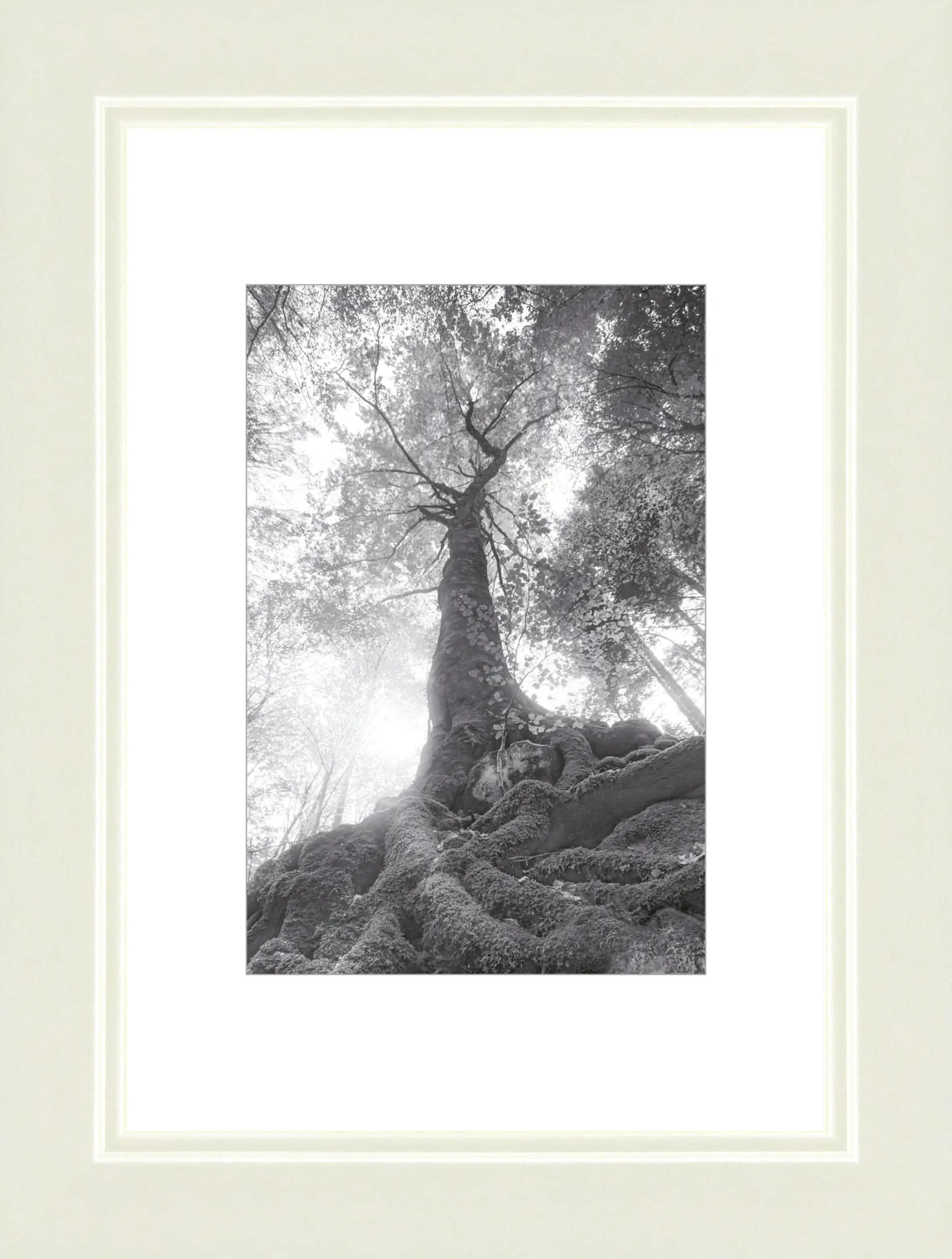 Bilderrahmen Modern cremeweiß, 9 x 13 cm