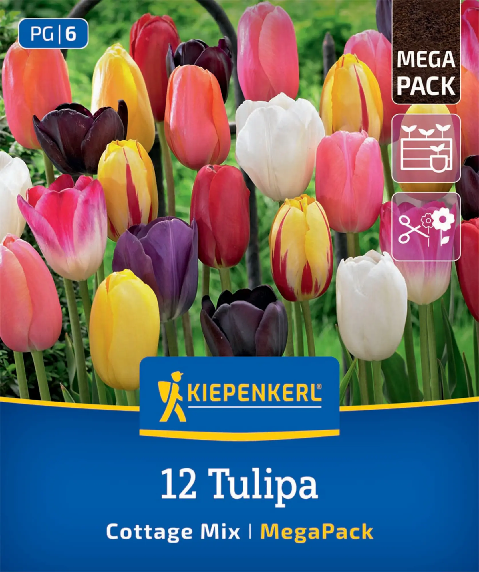 Kiepenkerl Herbstblumenzwiebel Tulpen Cottage Garden 12 Stück