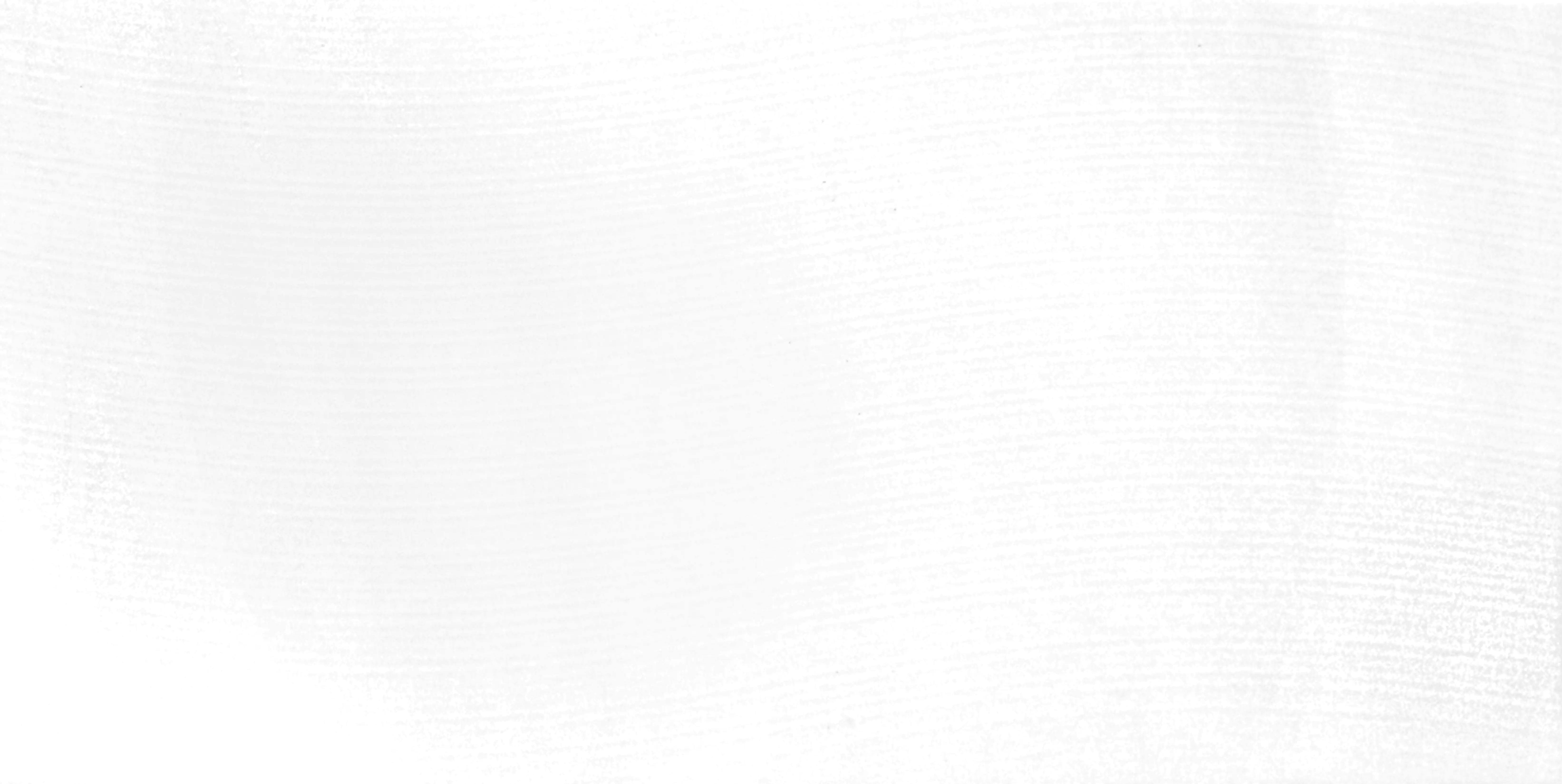 4027409044288 Wandfliese Silva 30 x 60 cm weiß glanz