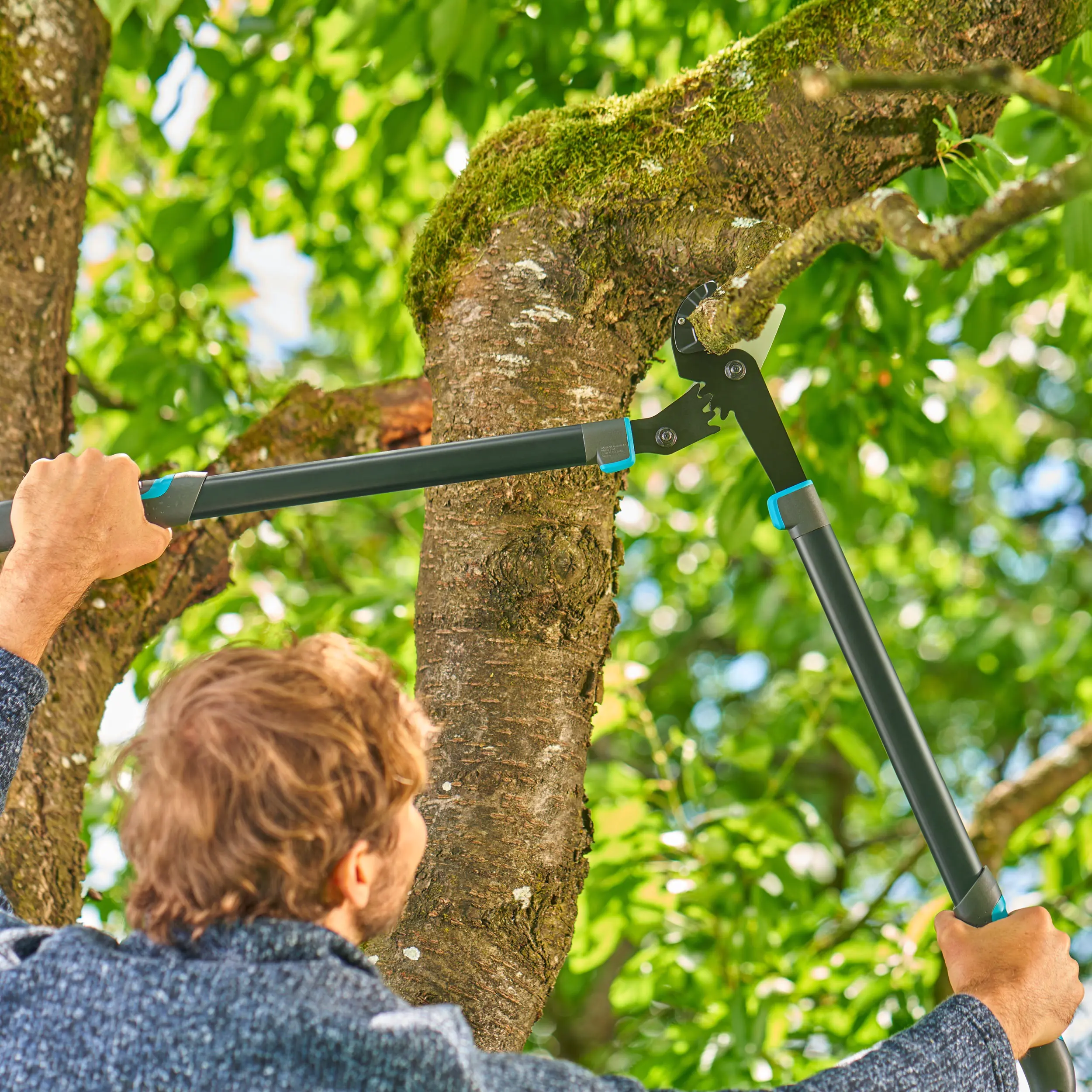 Gardena Astschere EnergyCut Pro L Amboss Gardena Astschere EnergyCut Pro L Amboss