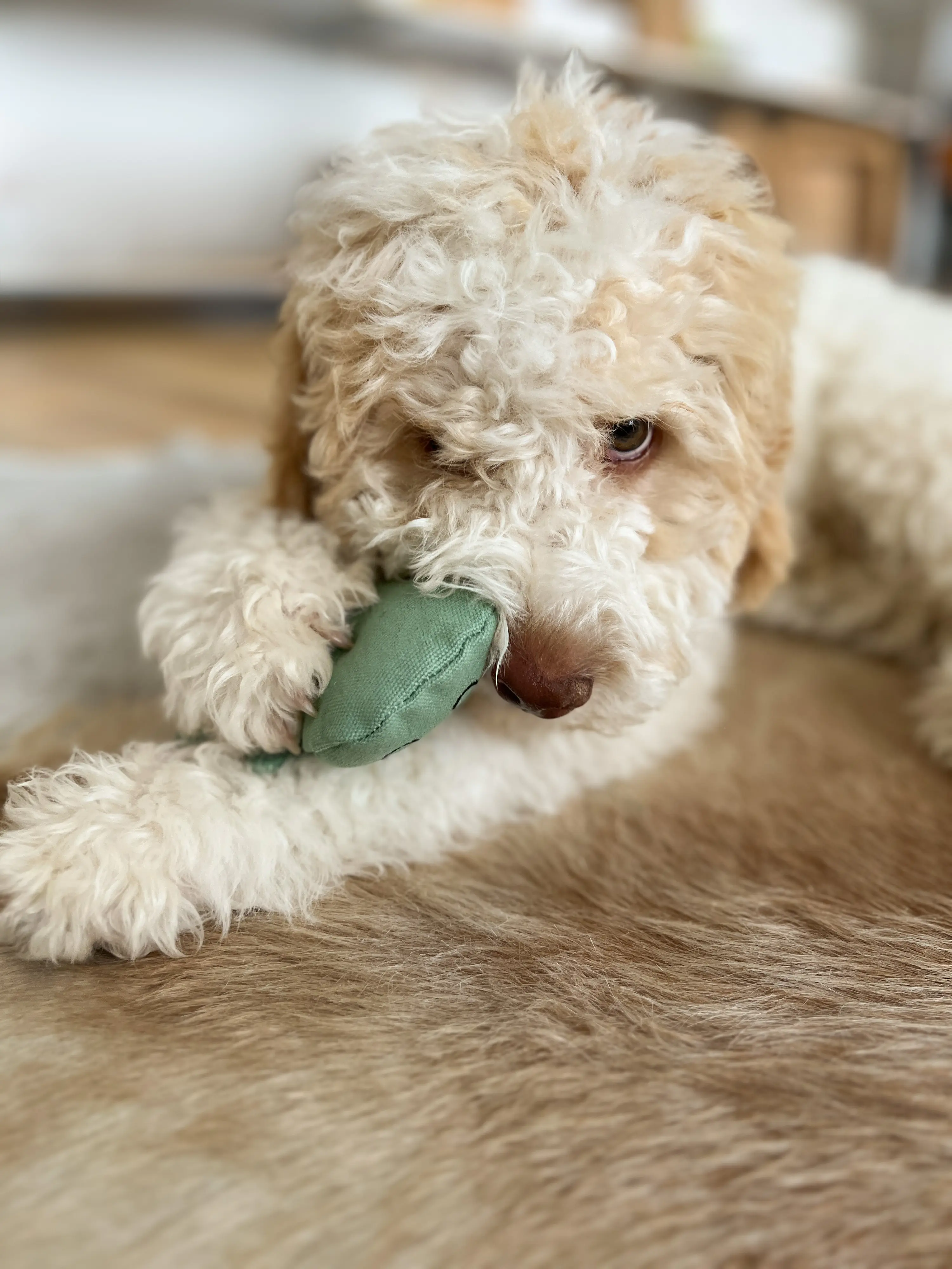 Aumüller Hundespielzeug Geist 16 cm grün Aumüller Hundespielzeug Geist 16 cm grün