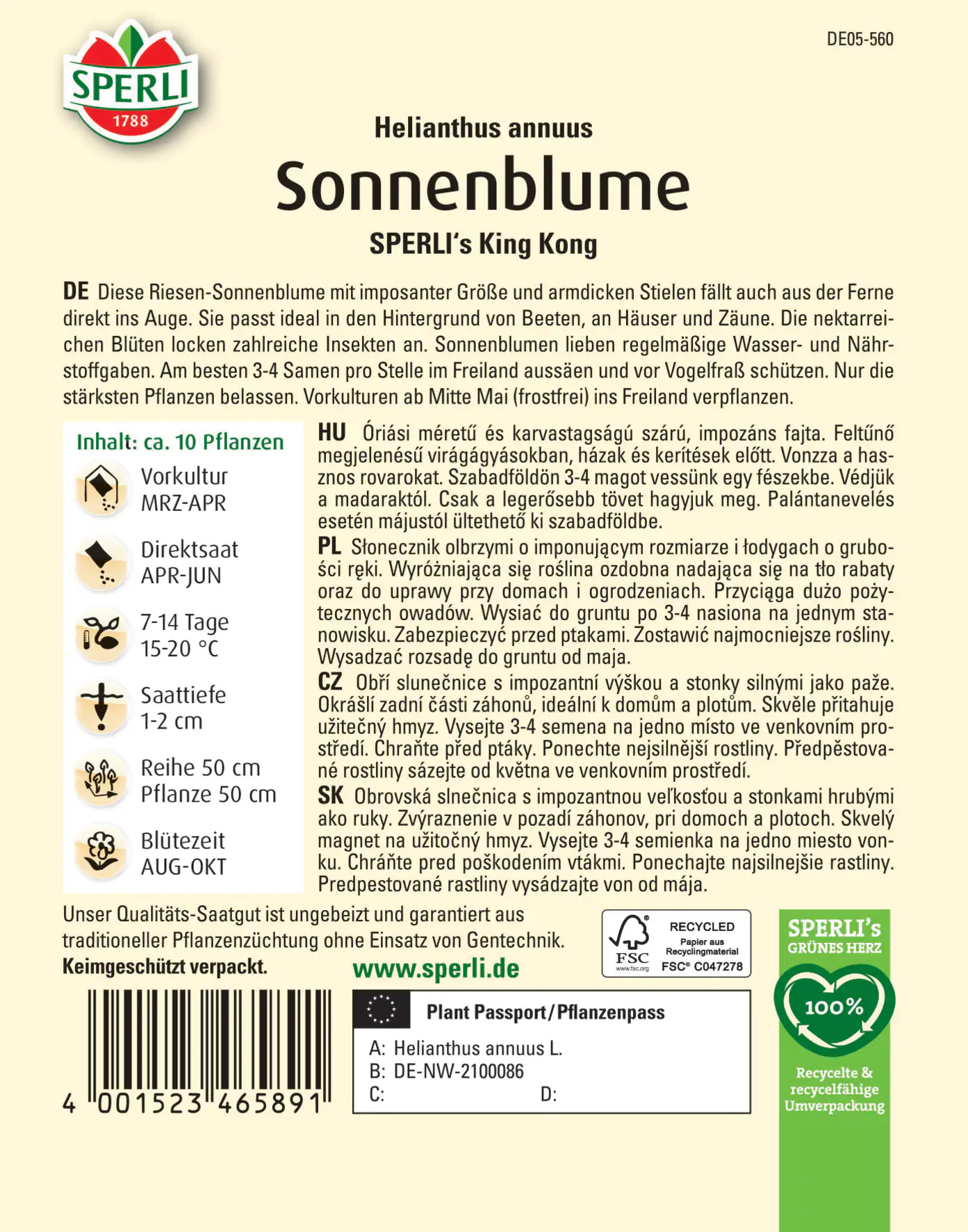 Sperli Sonnenblume SPERLI's King Kong Sperli Sonnenblume SPERLI's King Kong