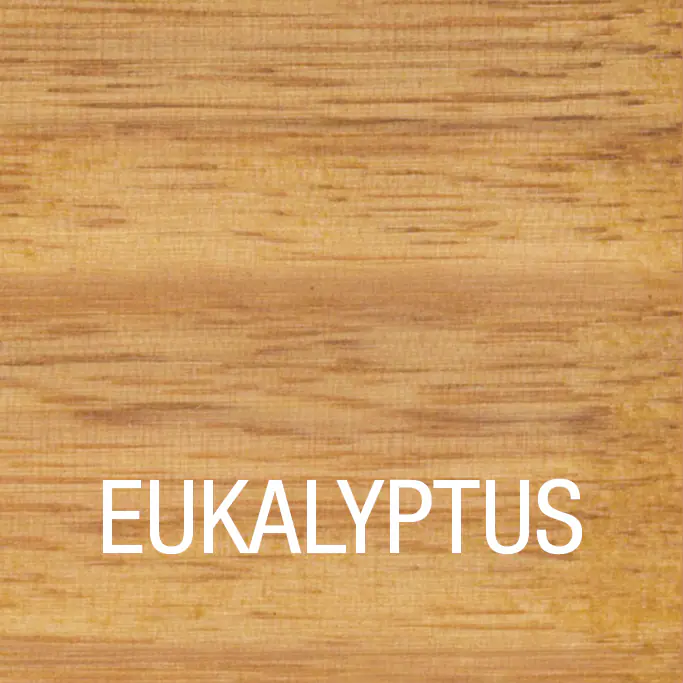 Bondex Eukalyptus Öl 750 ml