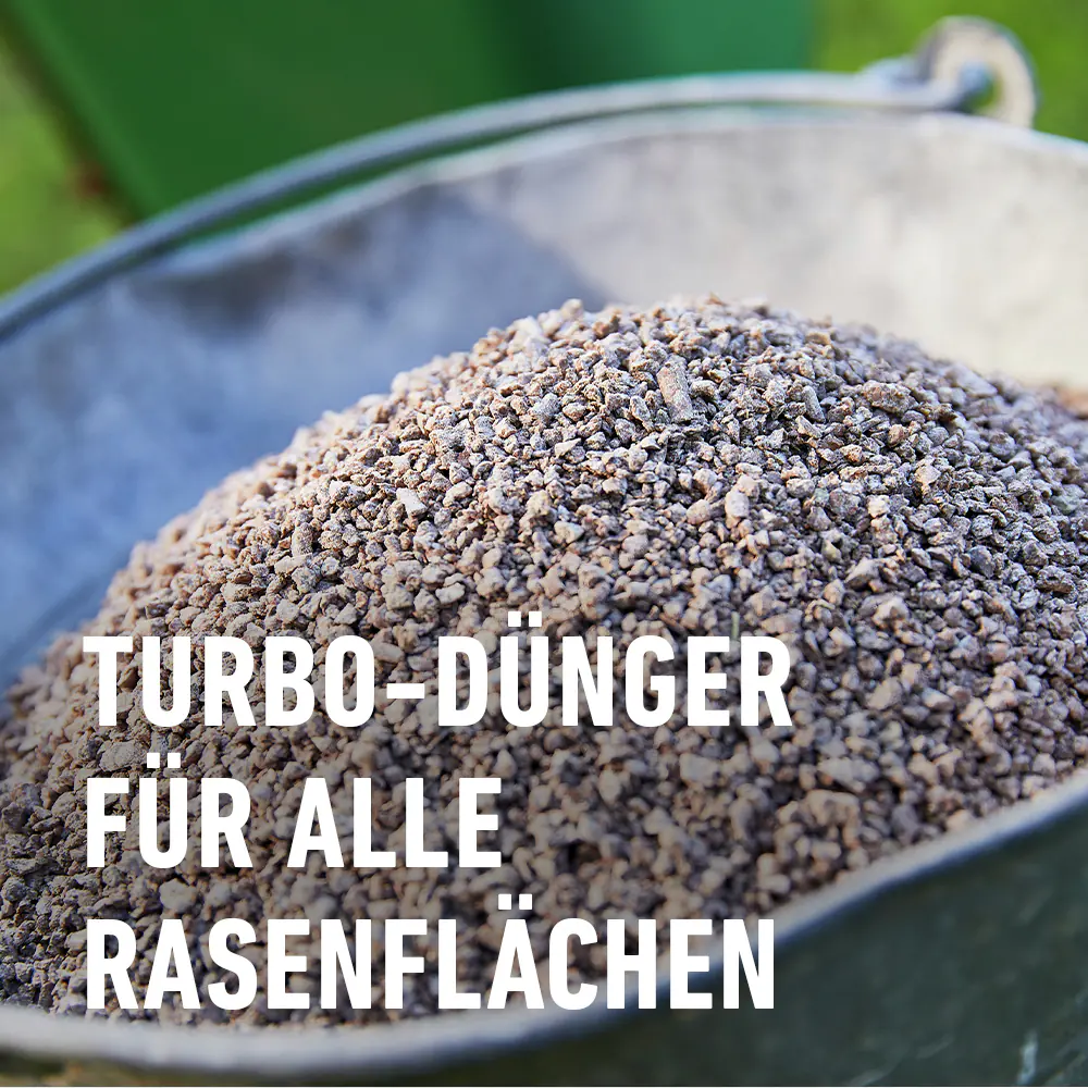 Compo Rasendünger Turbo 5 kg