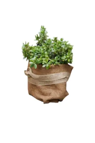 TrendLine Kokosschutz-Matte 1,5 x 0,5 m TrendLine Kokosschutz-Matte 1,5 x 0,5 m