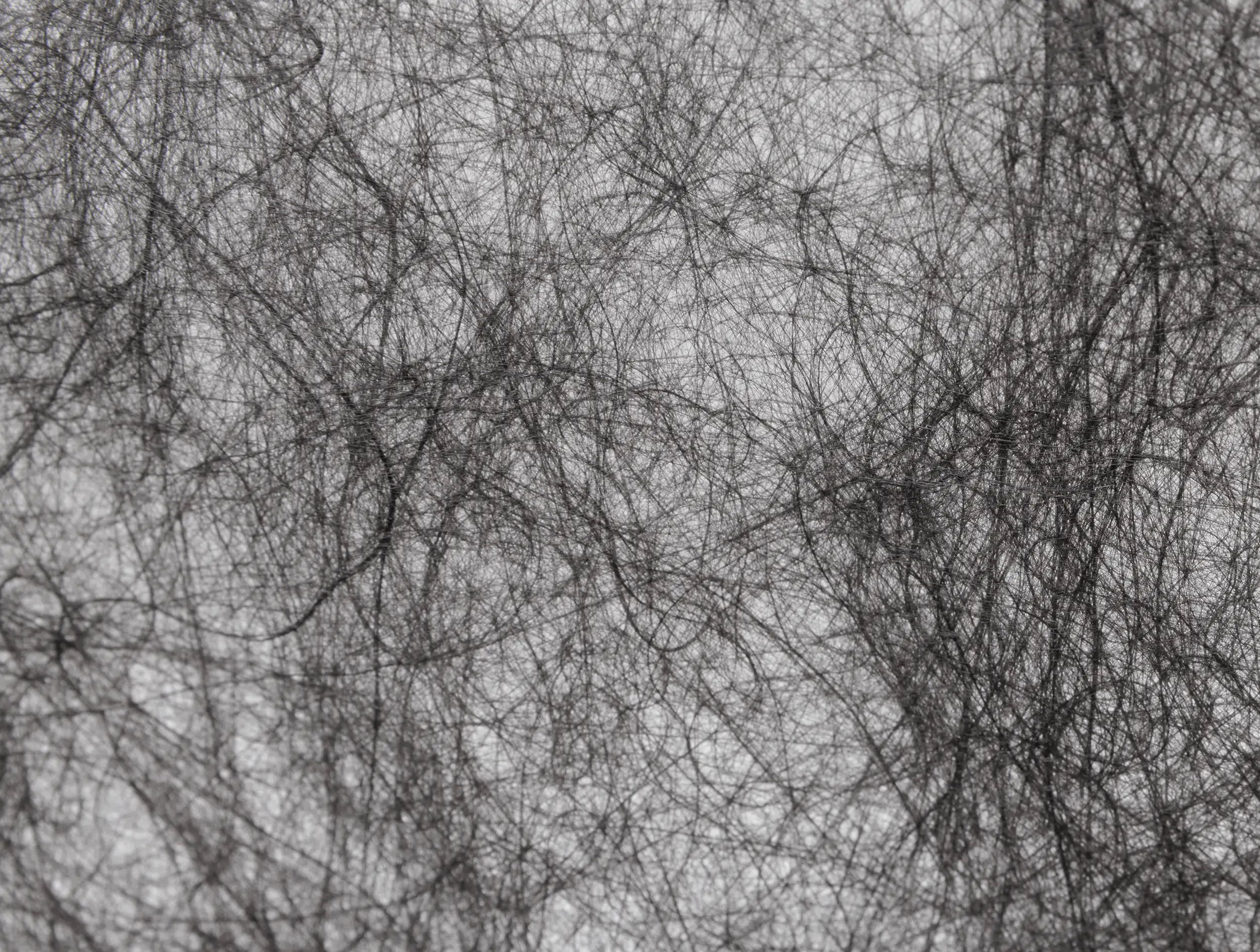 Primaster Trennvlies für Sandkästen 2 x 2 m