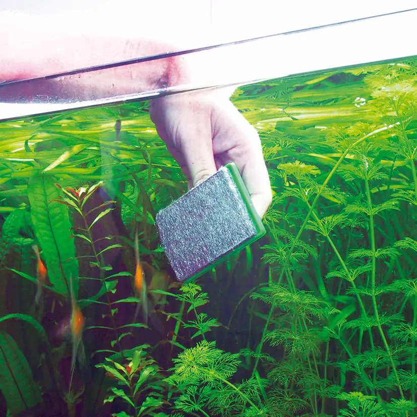 JBL Blanki Kratzfreier Aquarien-Scheibenreiniger