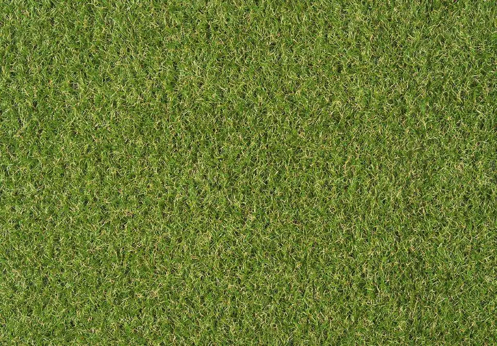 Kunstrasen Evergreen grün, 1,33 x 3 m