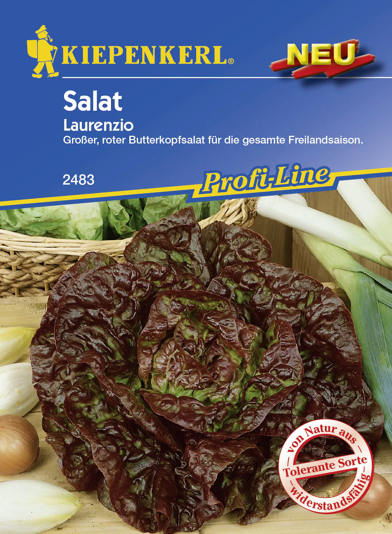 Kiepenkerl Profi-Line Salat Laurenzio Lactuca sativa var. capitata, Inhalt: ca. 70 Pflanzen Kiepenkerl Profi-Line Salat Laurenzio Lactuca sativa var. capitata, Inhalt: ca. 70 Pflanzen