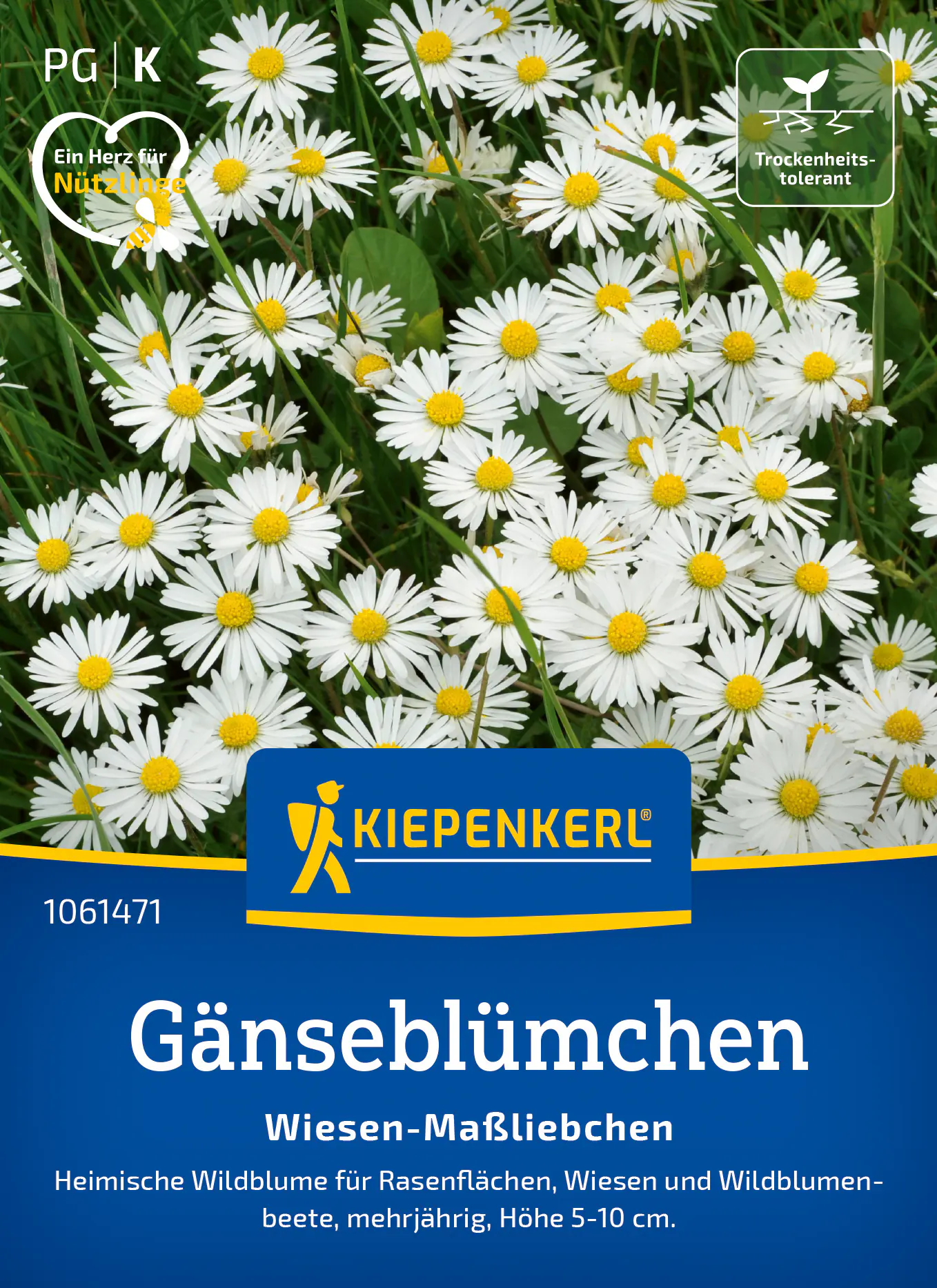 Kiepenkerl Saatgut Gänseblümchen Wiesen-Maßliebchen für ca. 3-5 m²