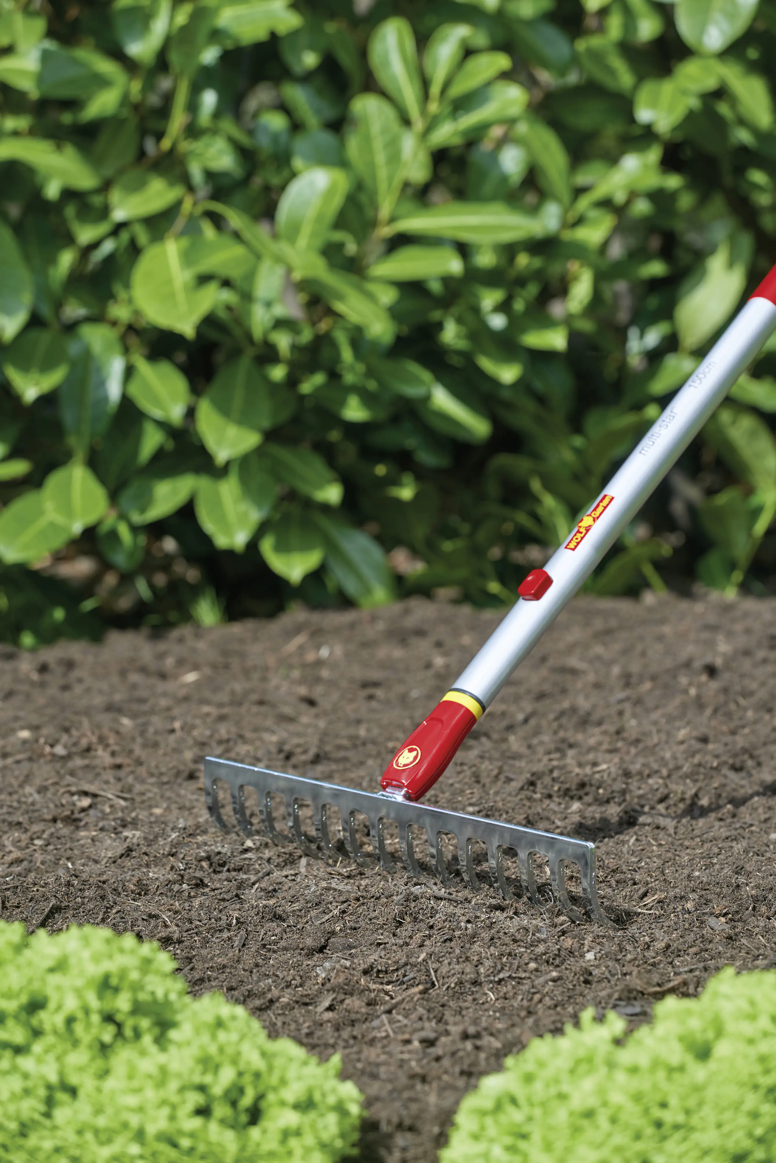 Wolf Garten Rechen Multi-Star DR-M 35 35 cm Arbeitsbreite