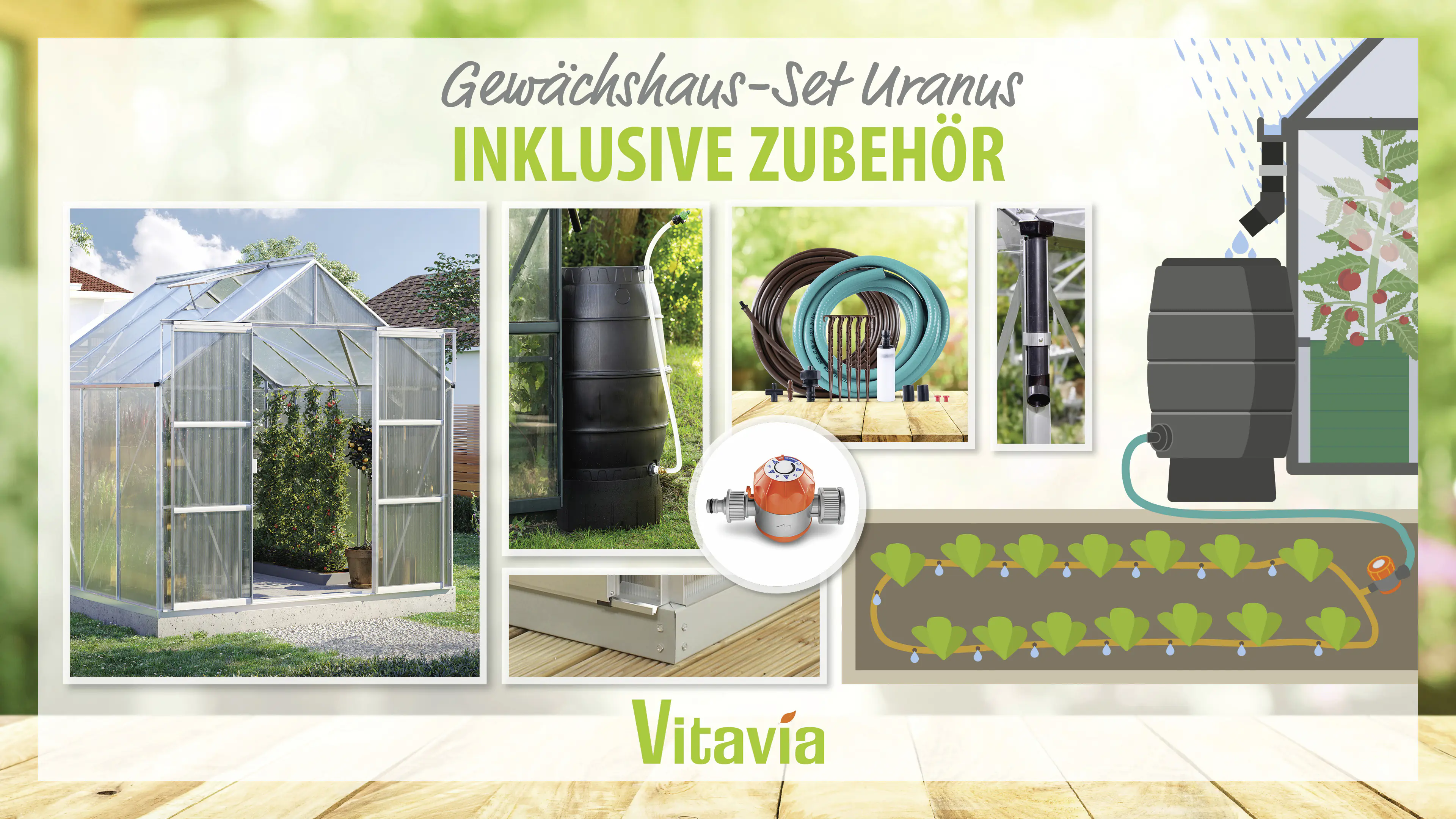 Vitavia Gewächshaus-Set Uranus 6700 HKP 4 mm alu 254 x 254 cm 