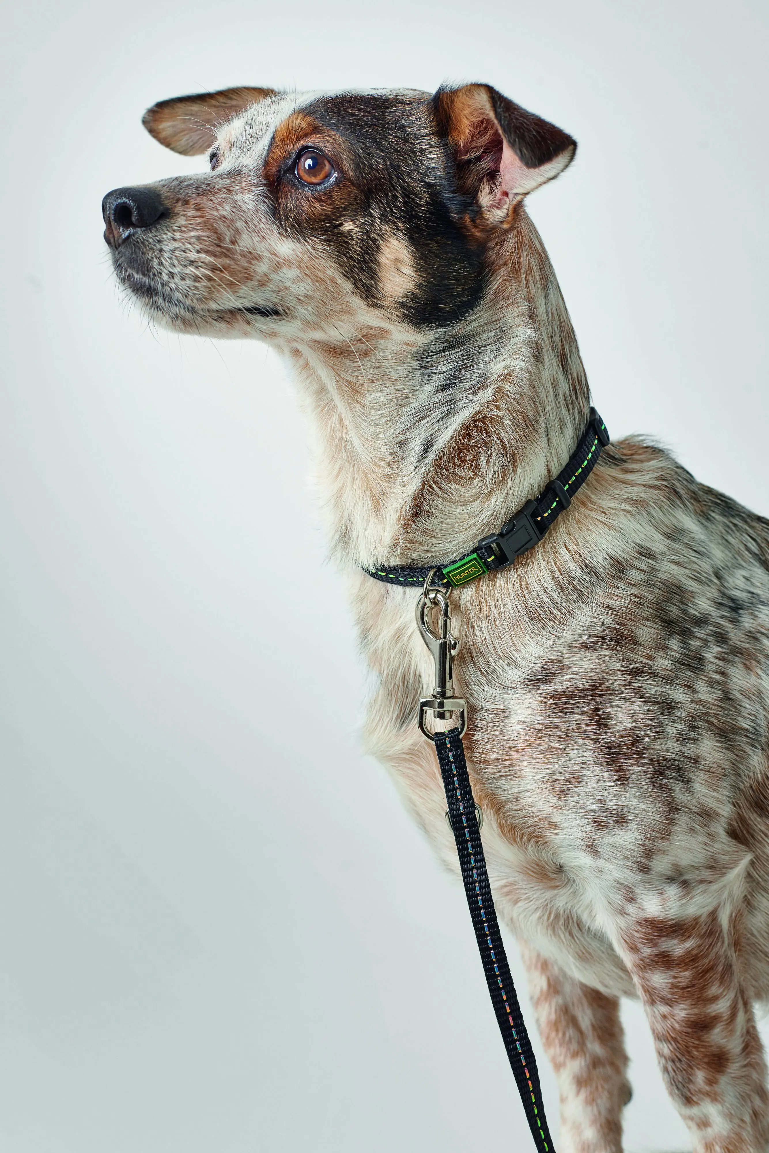 Hunter Hundehalsband Tripoli Vario Basic XXS-XS schwarz