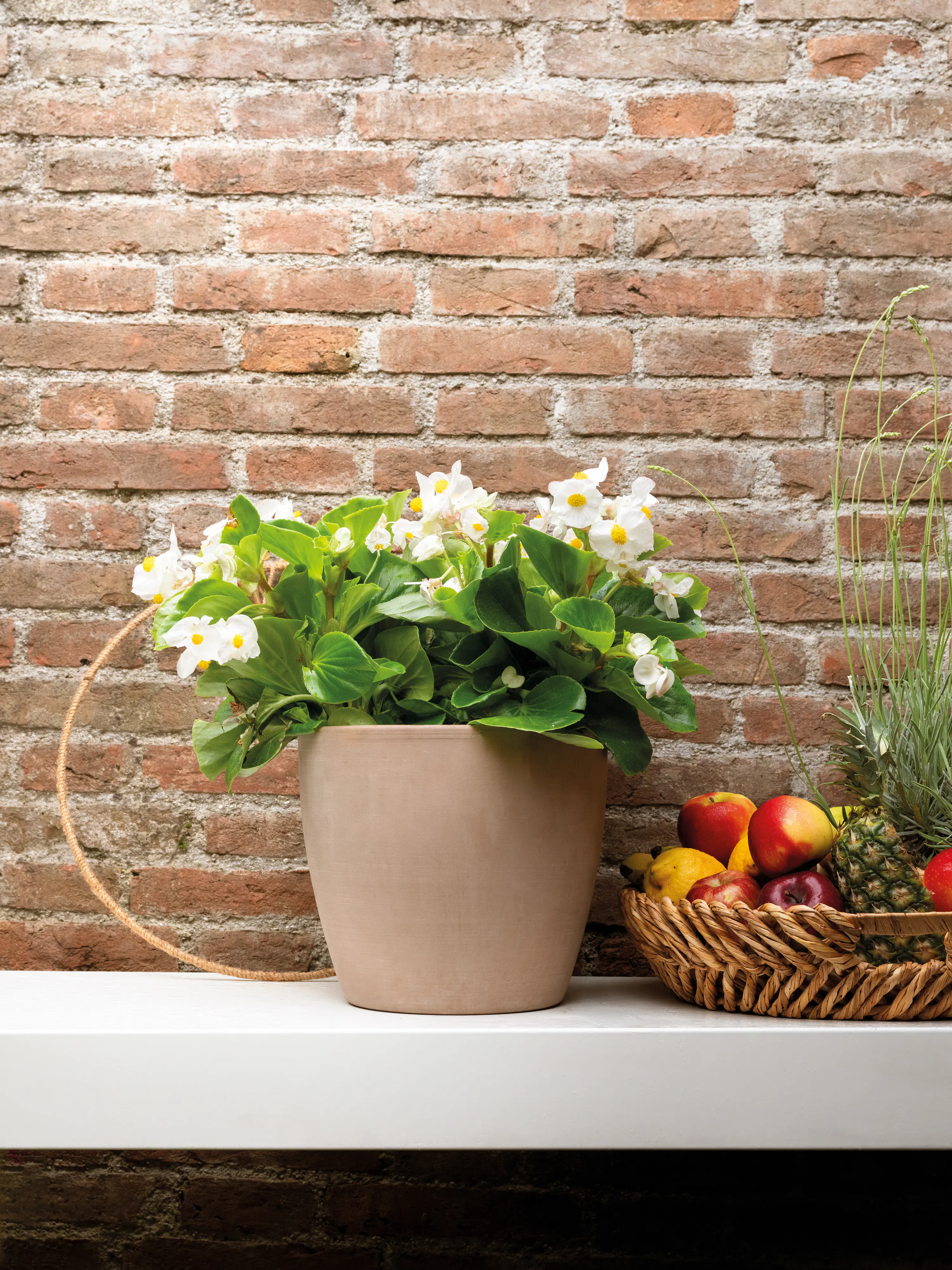 Deroma Pflanztopf Egg Pot White Garden Terrakotta Ø 19 x 17 cm