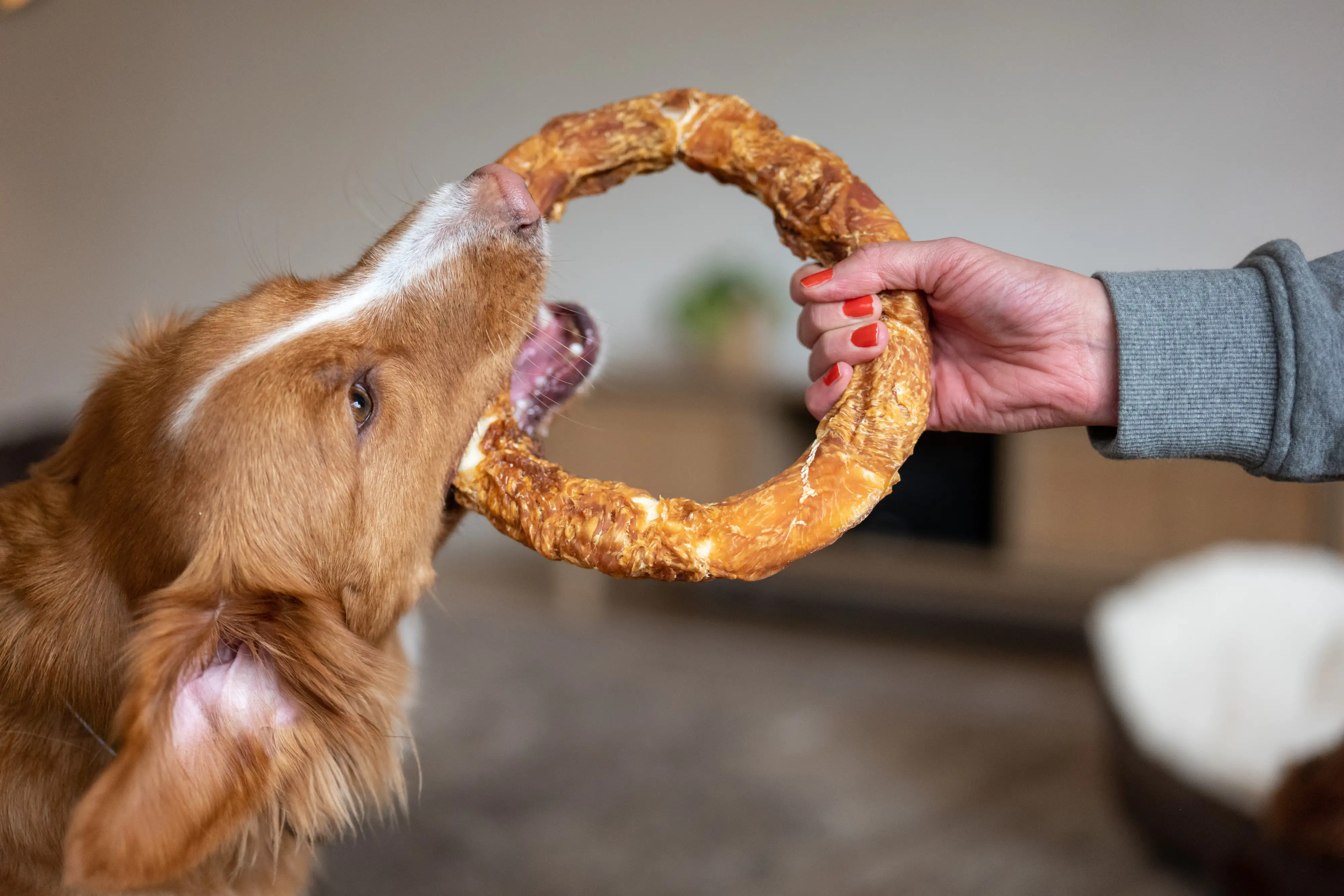 Nobby StarSnack Barbecue Chicken Donut XL ca. 20 cm, 220 g