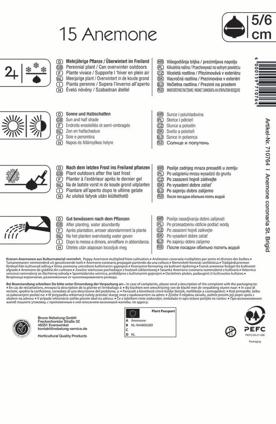 Kiepenkerl Blumenzwiebel Anemonen St. Brigid gefüllt blühend Anemone coronaria, Inhalt: 15 Stück