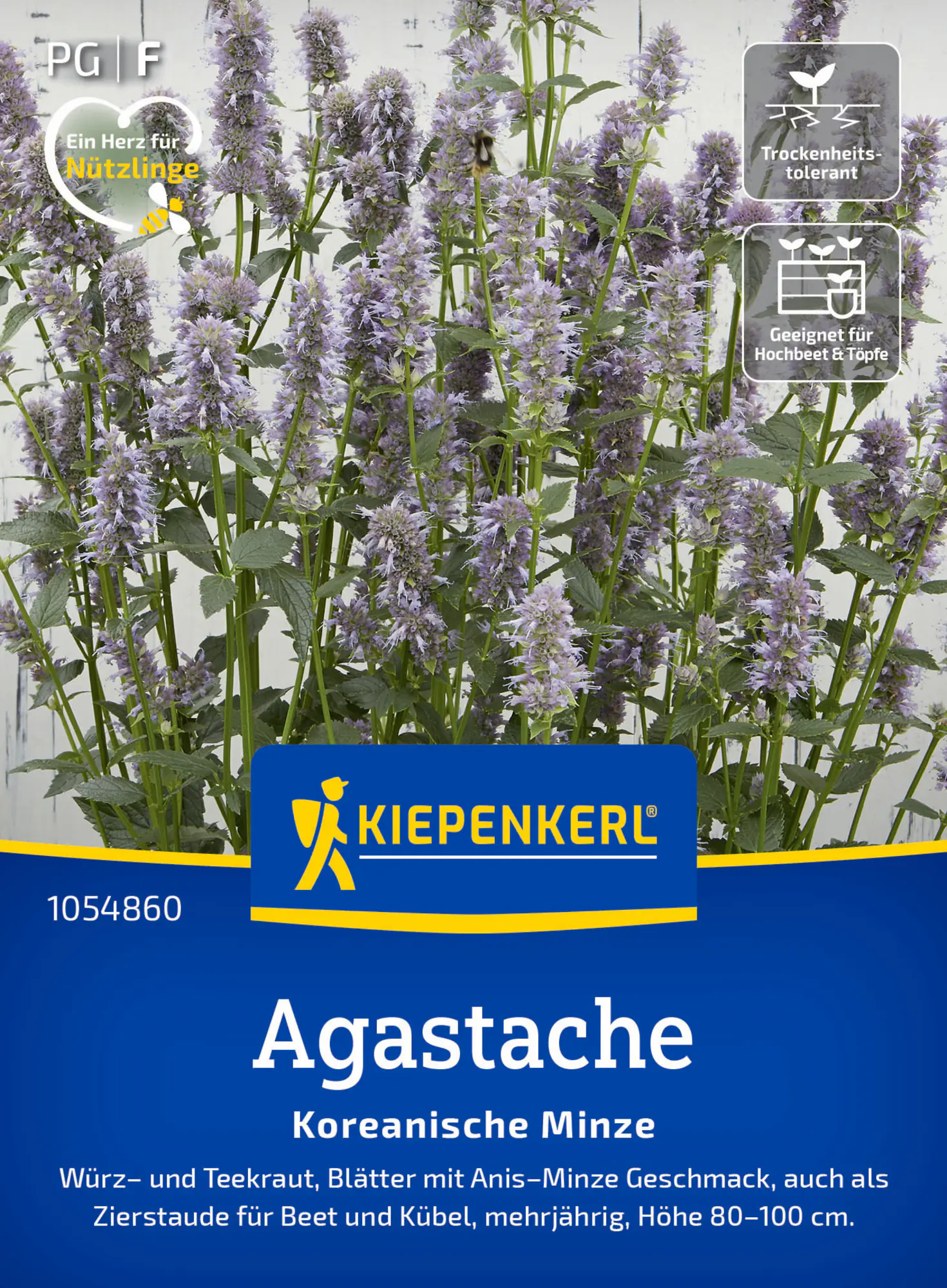 Kiepenkerl Saatgut Koreanische Minze für ca. 100 Pflanzen