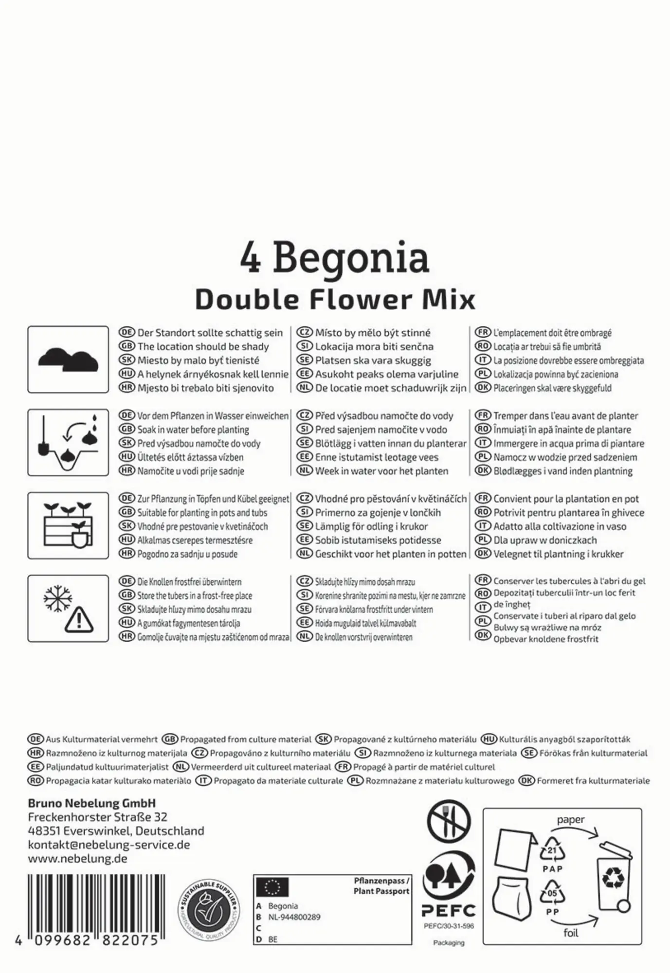 Kiepenkerl Frühjahrsblumenzwiebel Knollenbegonie Gefüllte Mischung 4 Stück