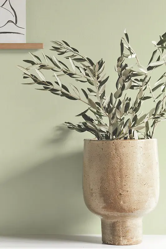 Alpina Feine Farben Wandfarbe No. 38 Essenz der Natur - weiches pastellgrün 2,5 L