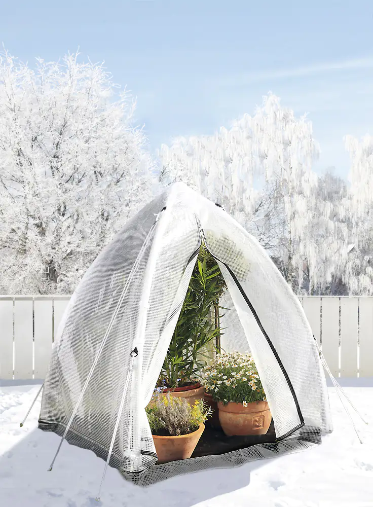 Bio Green Überwinterungszelt Tropical Island M 130 x 130 x 150 cm Bio Green Überwinterungszelt Tropical Island M 130 x 130 x 150 cm