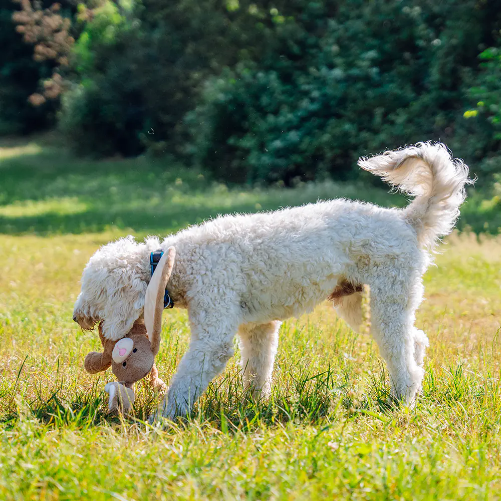 Nobby Hundespielzeug Plüschhase mit Seil innenliegend 54 cm
