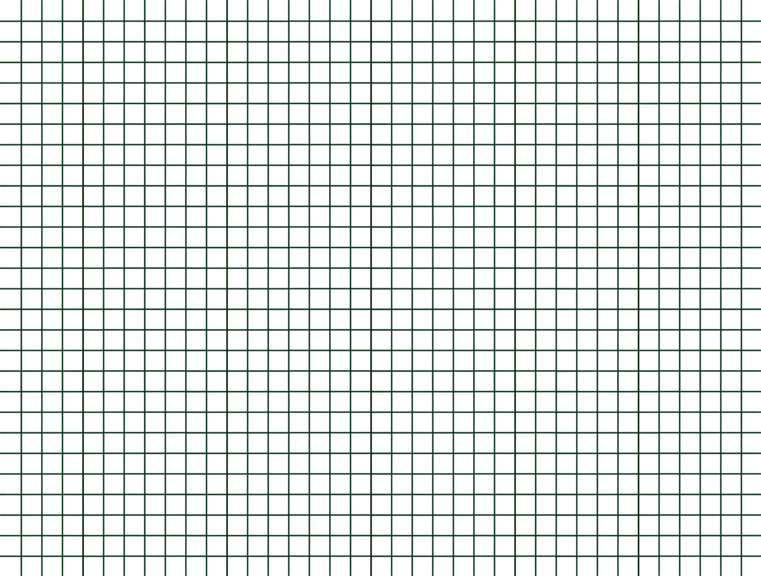 Floraworld Drahtgitter 5 x 1m feuerverzinkt