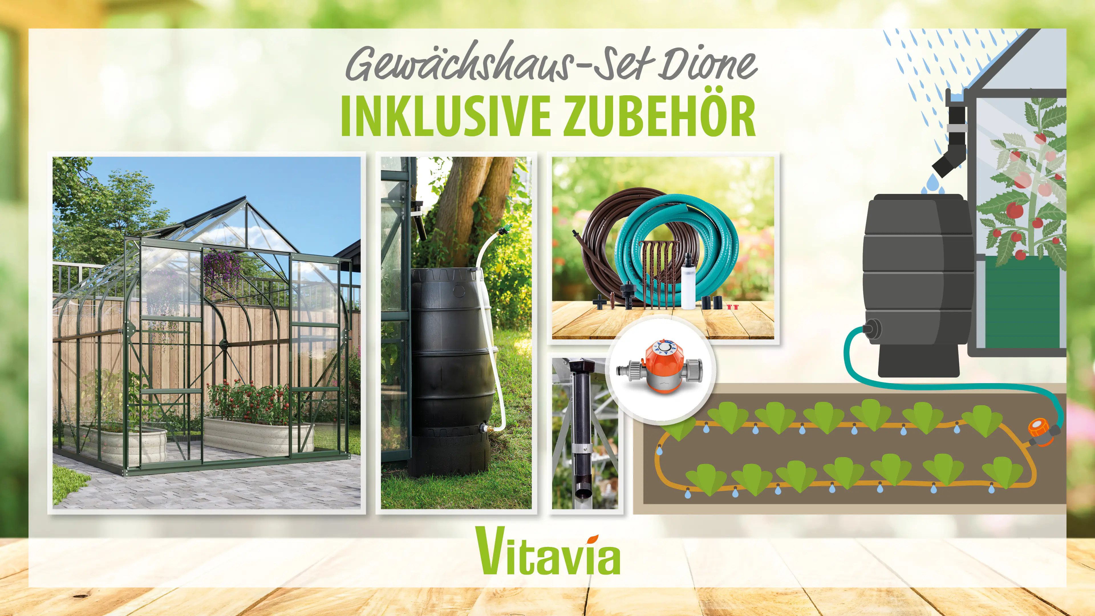 Vitavia Gewächshaus-Set Dione 6700 ESG 3 mm smaragd 254 x 254 cm 
