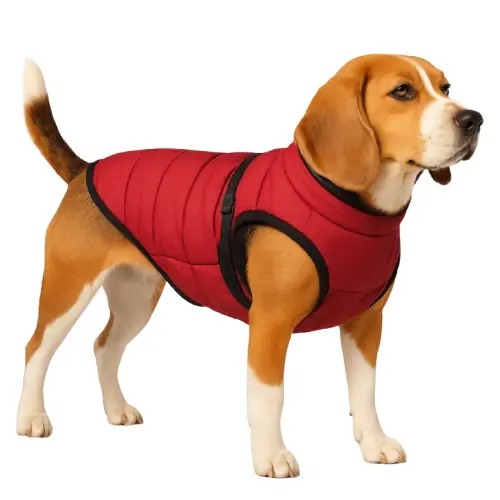 Nobby Hundemantel Salus 2 in 1 bordeaux